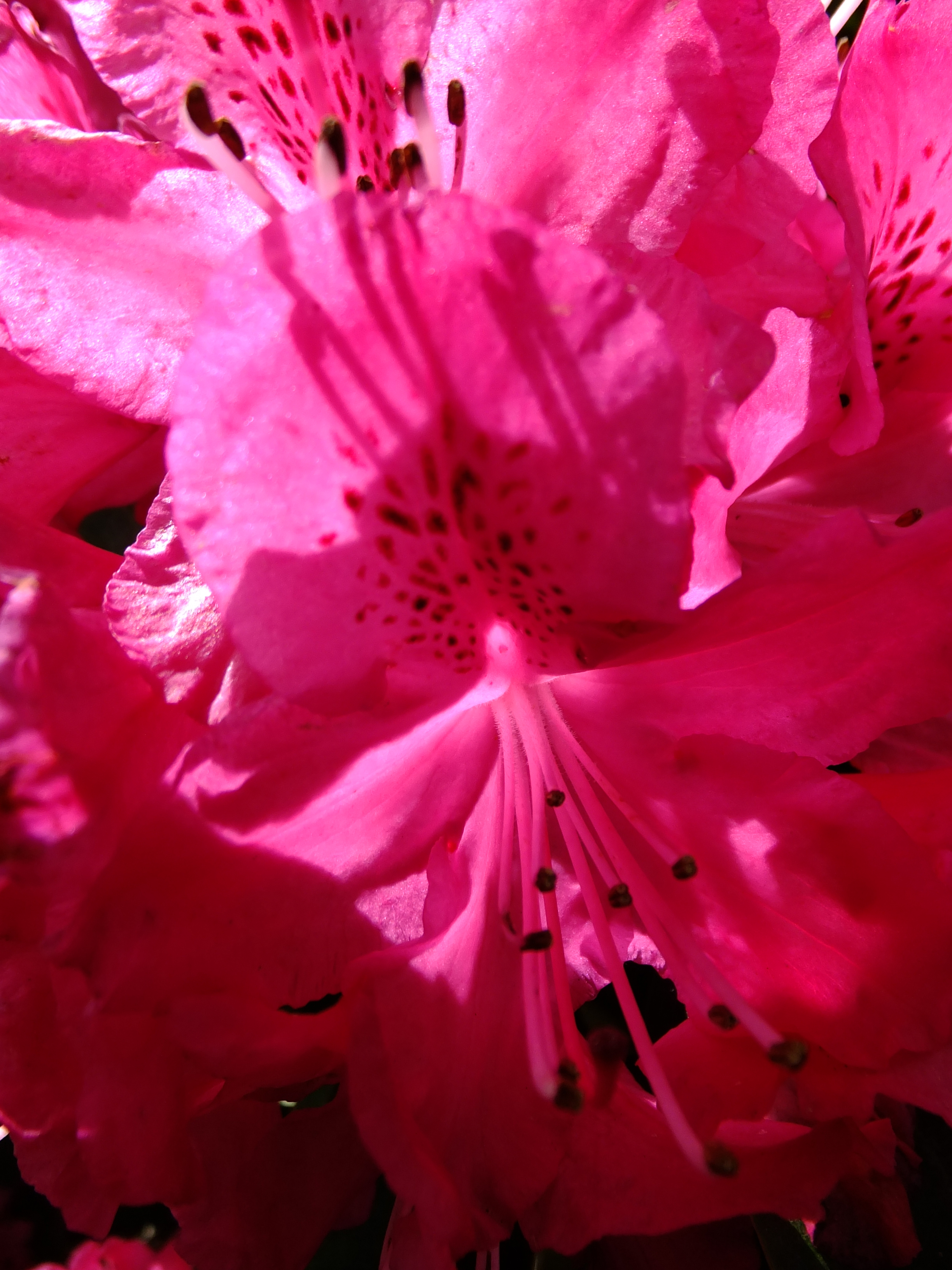 Fujifilm Finepix F770 EXR sample image 8