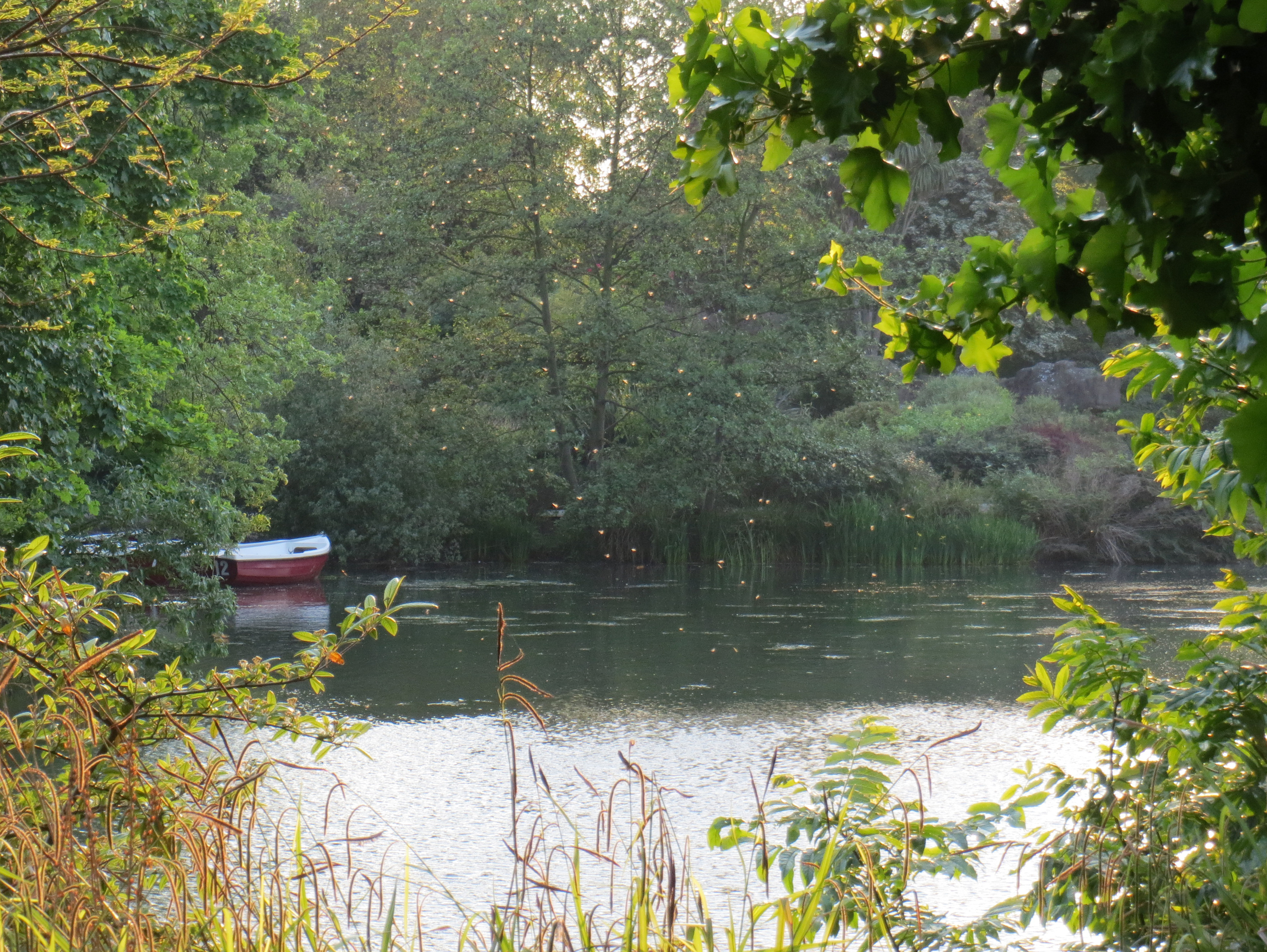 Canon IXUS 510HS review sample image
