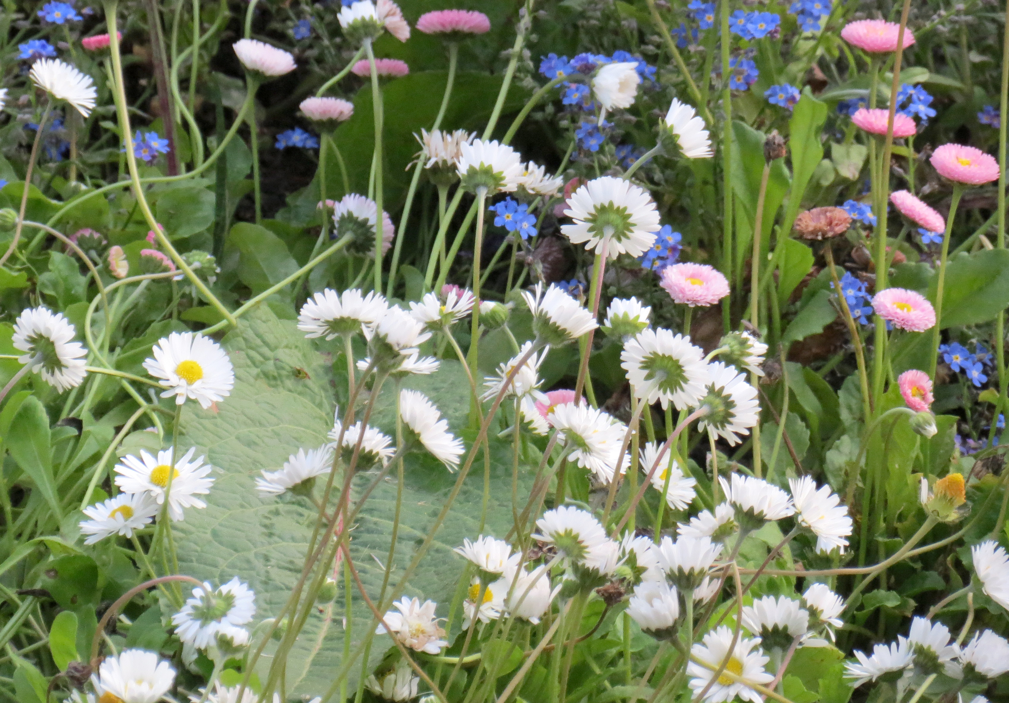 Canon IXUS 510HS review sample image