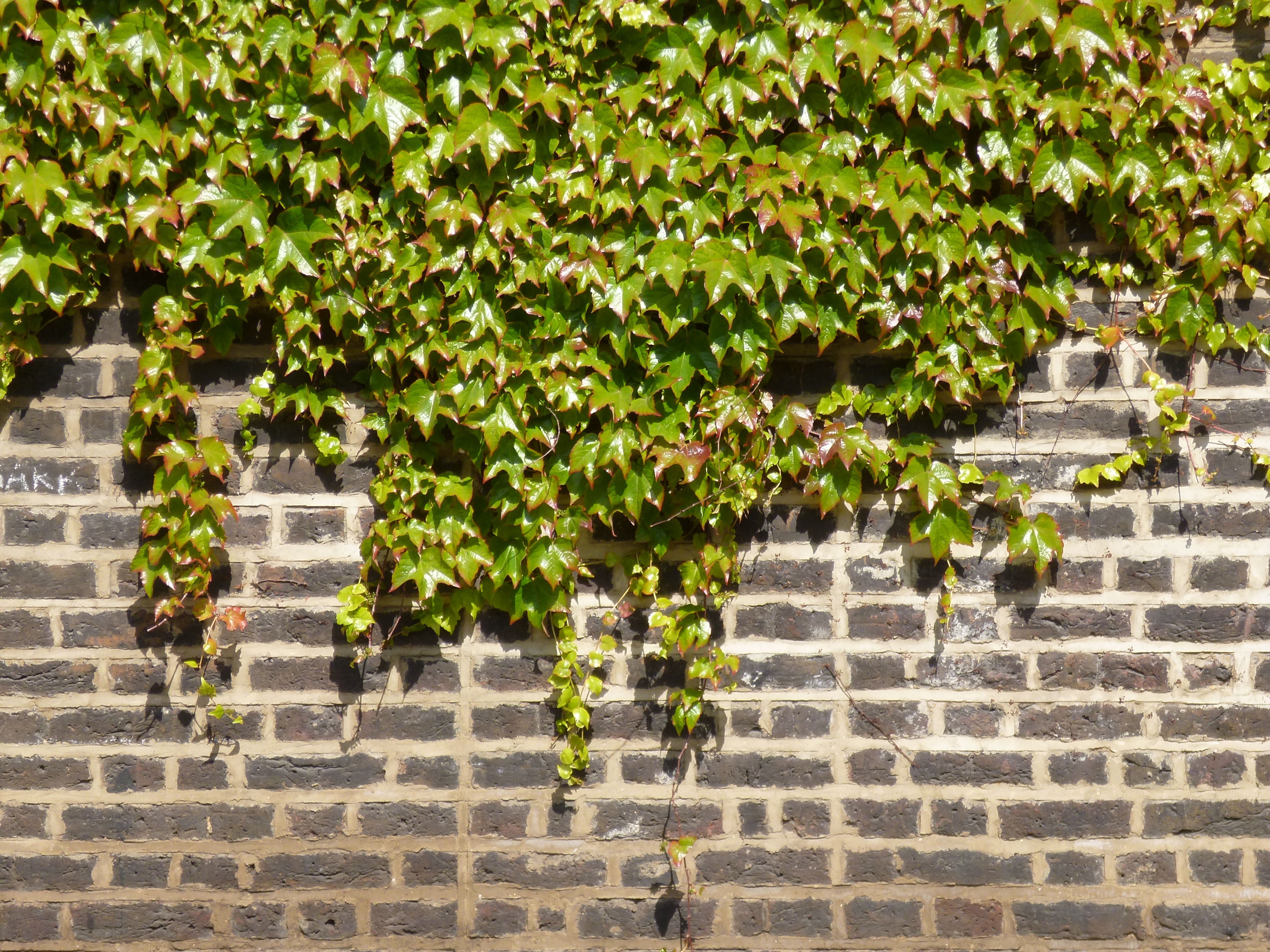 Panasonic Lumix FX80 review sample image