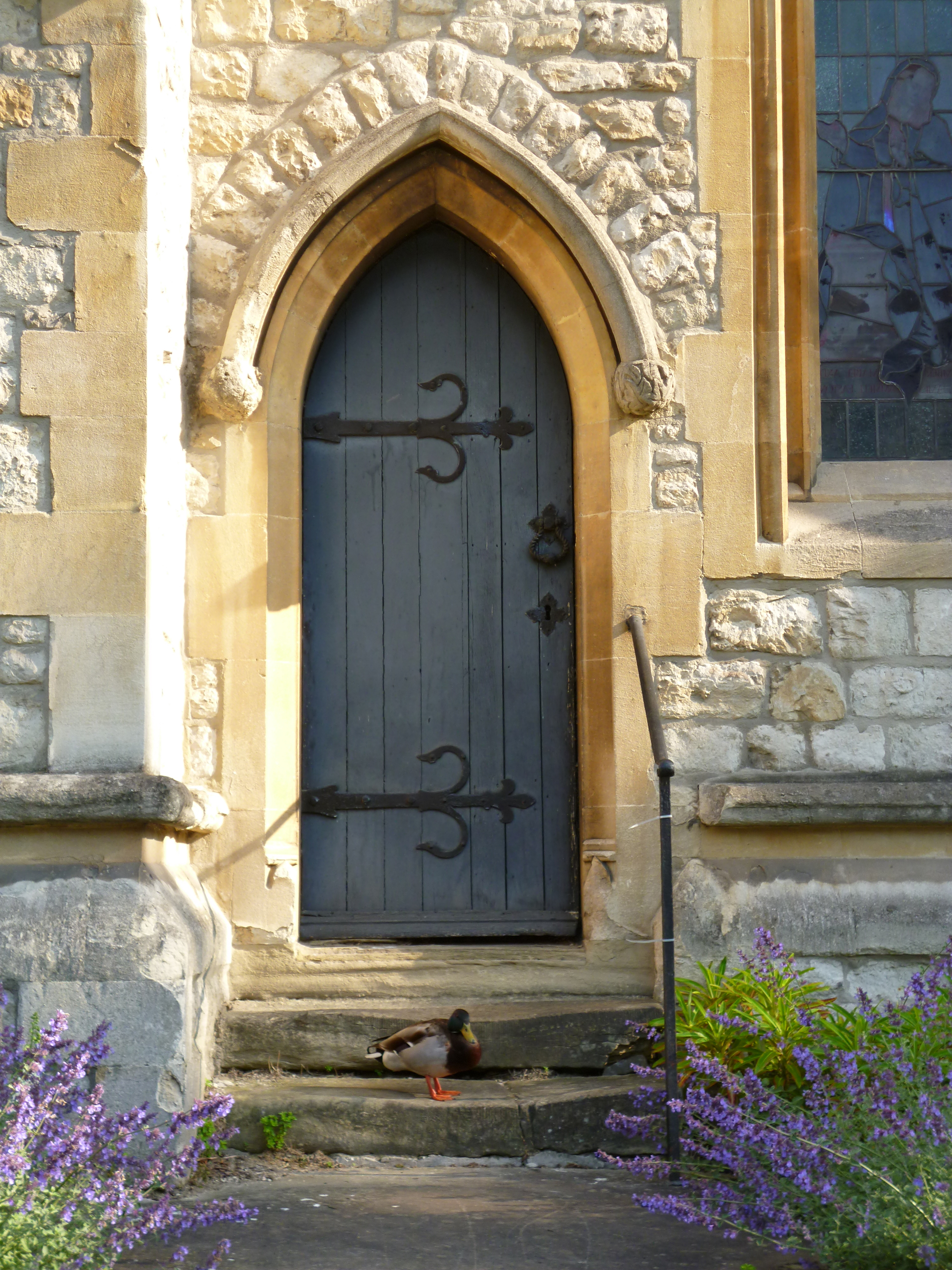 Panasonic Lumix FX80 review sample image