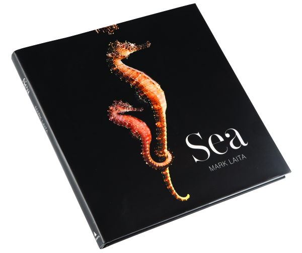 sea