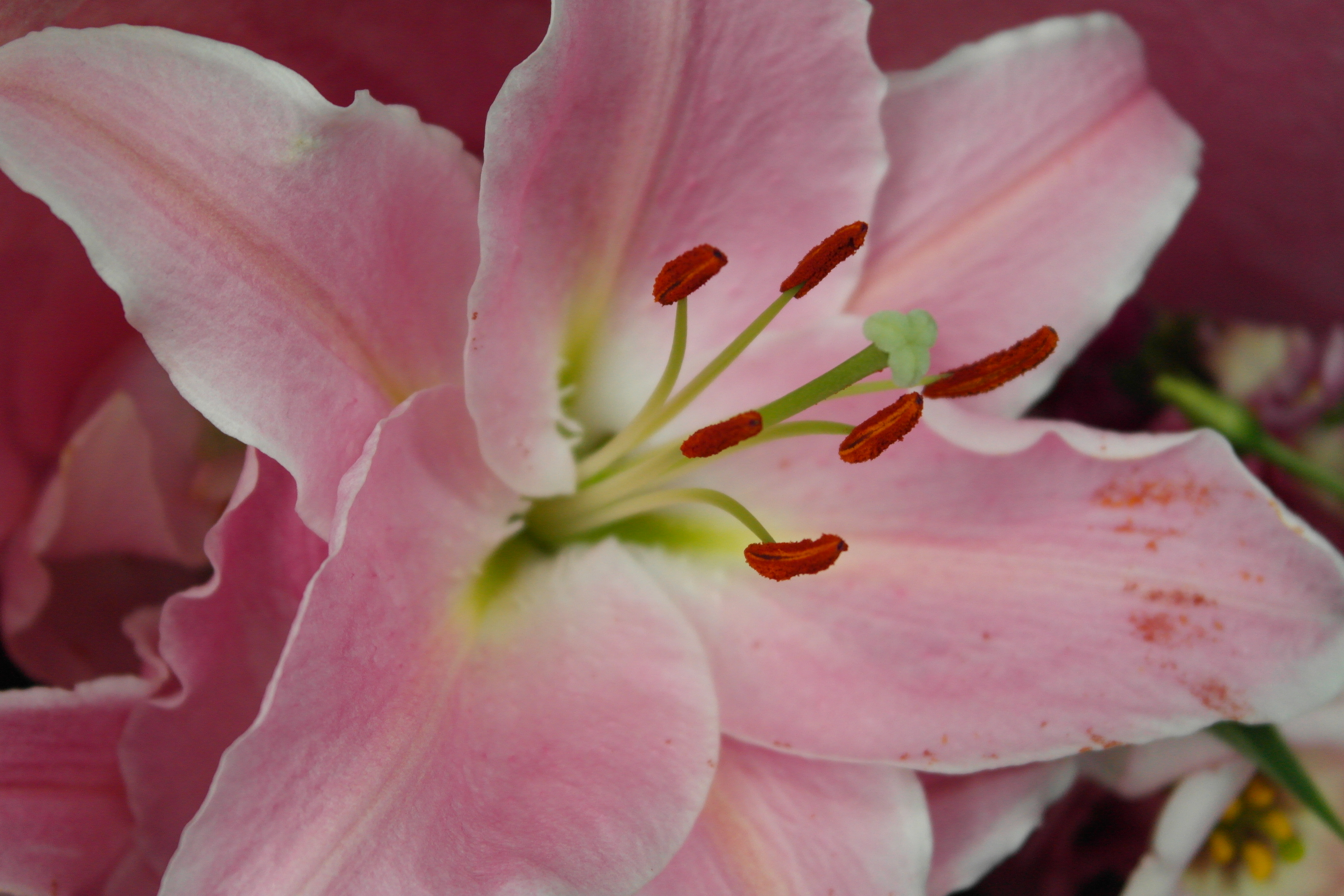 Samsung NX1000 review sample image