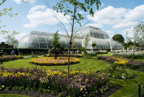 Kew Summer