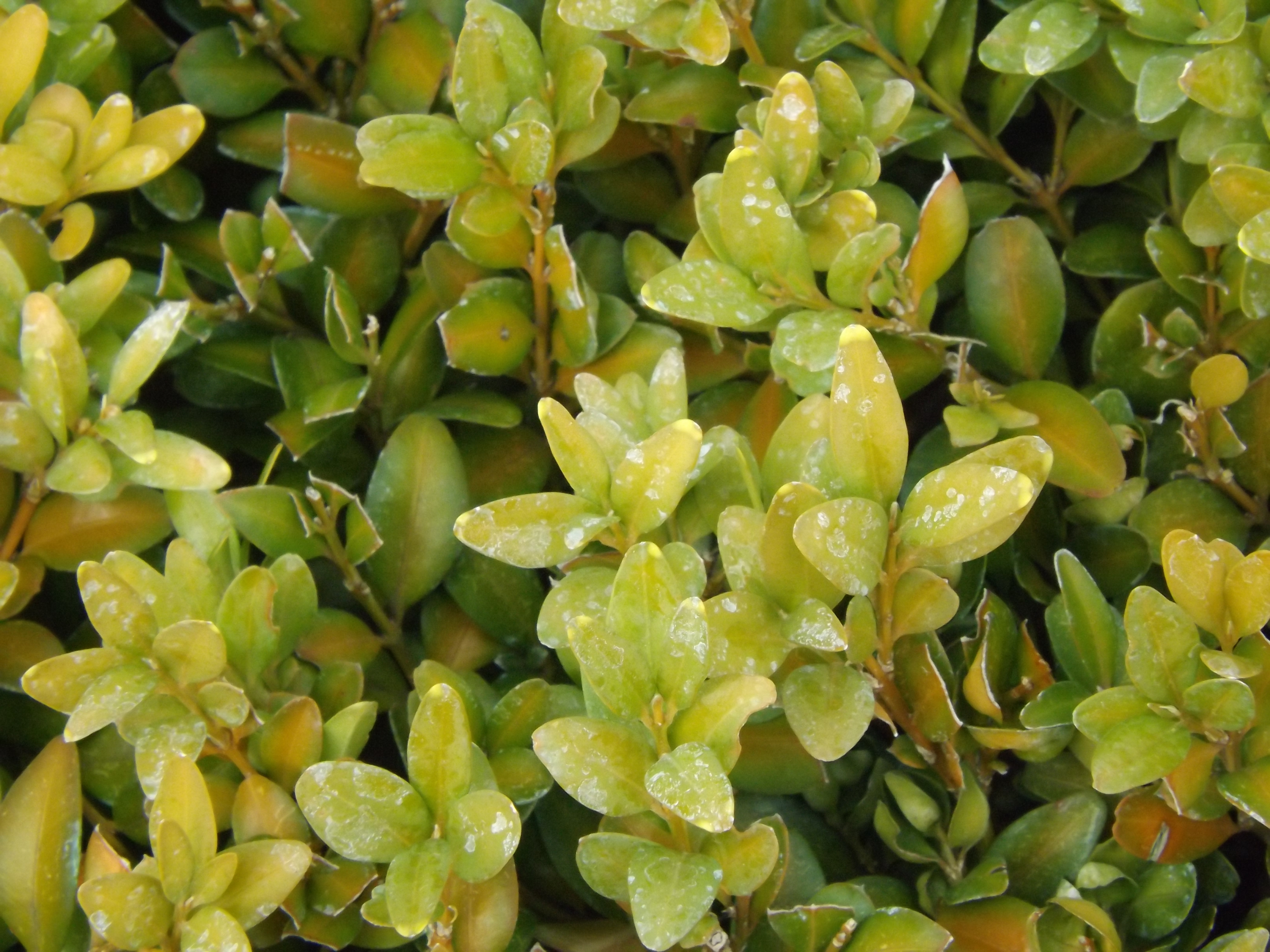 Fujifilm FinePix SL300 sample image