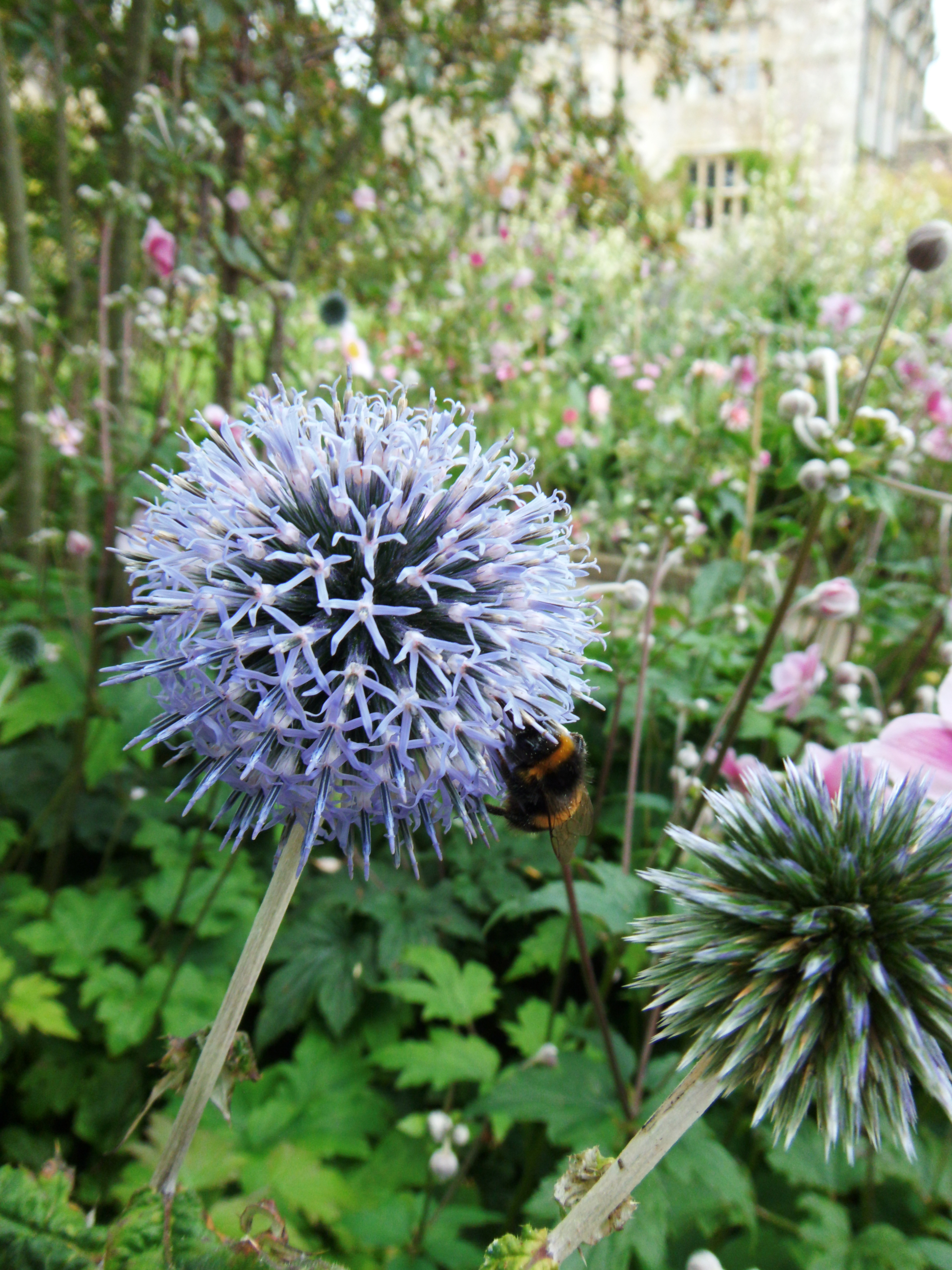 Fujifilm FinePix Z110 sample image 8 | Reviews | What Digital Camera