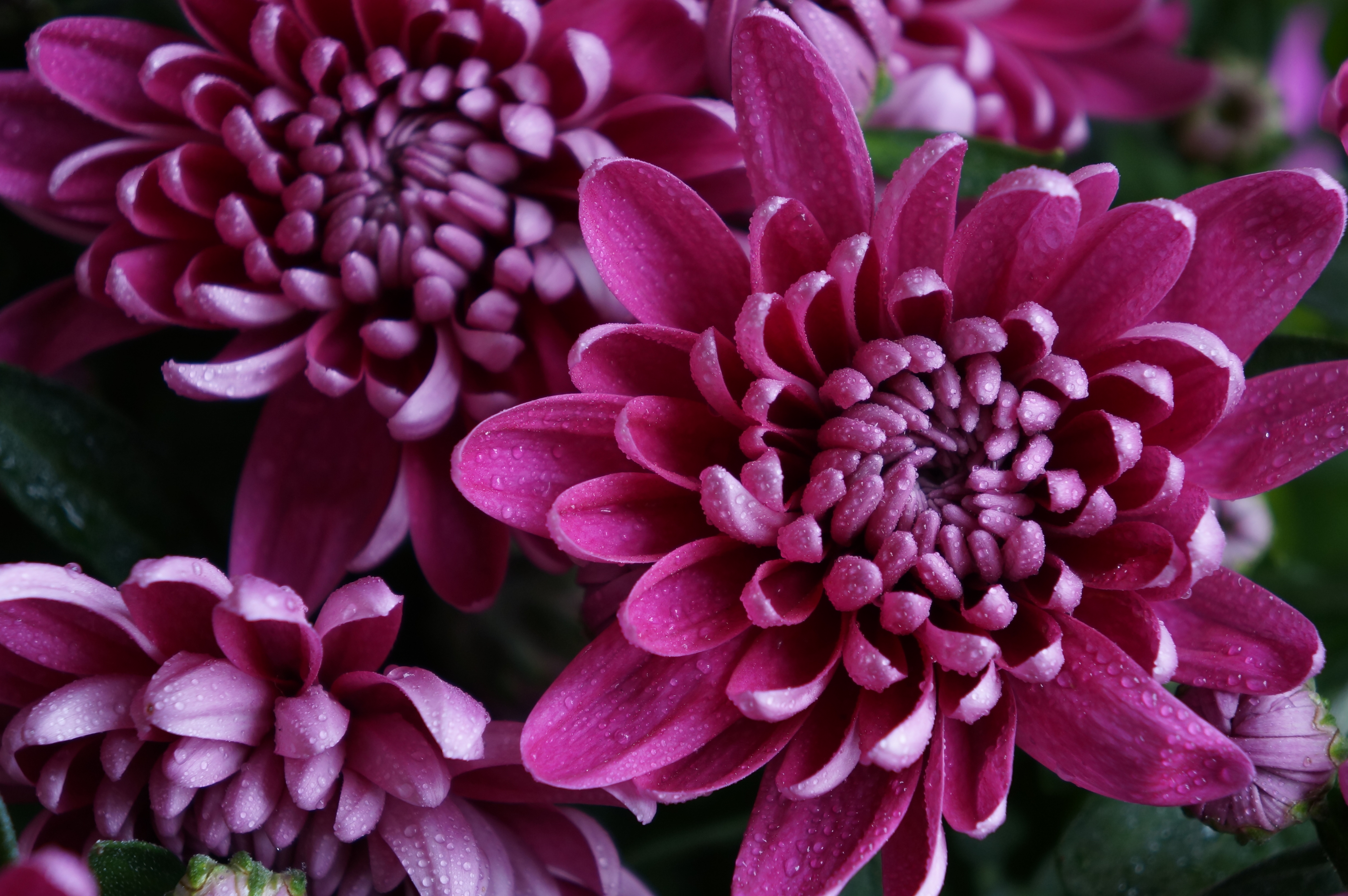 Sony NEX-F3 review sample image