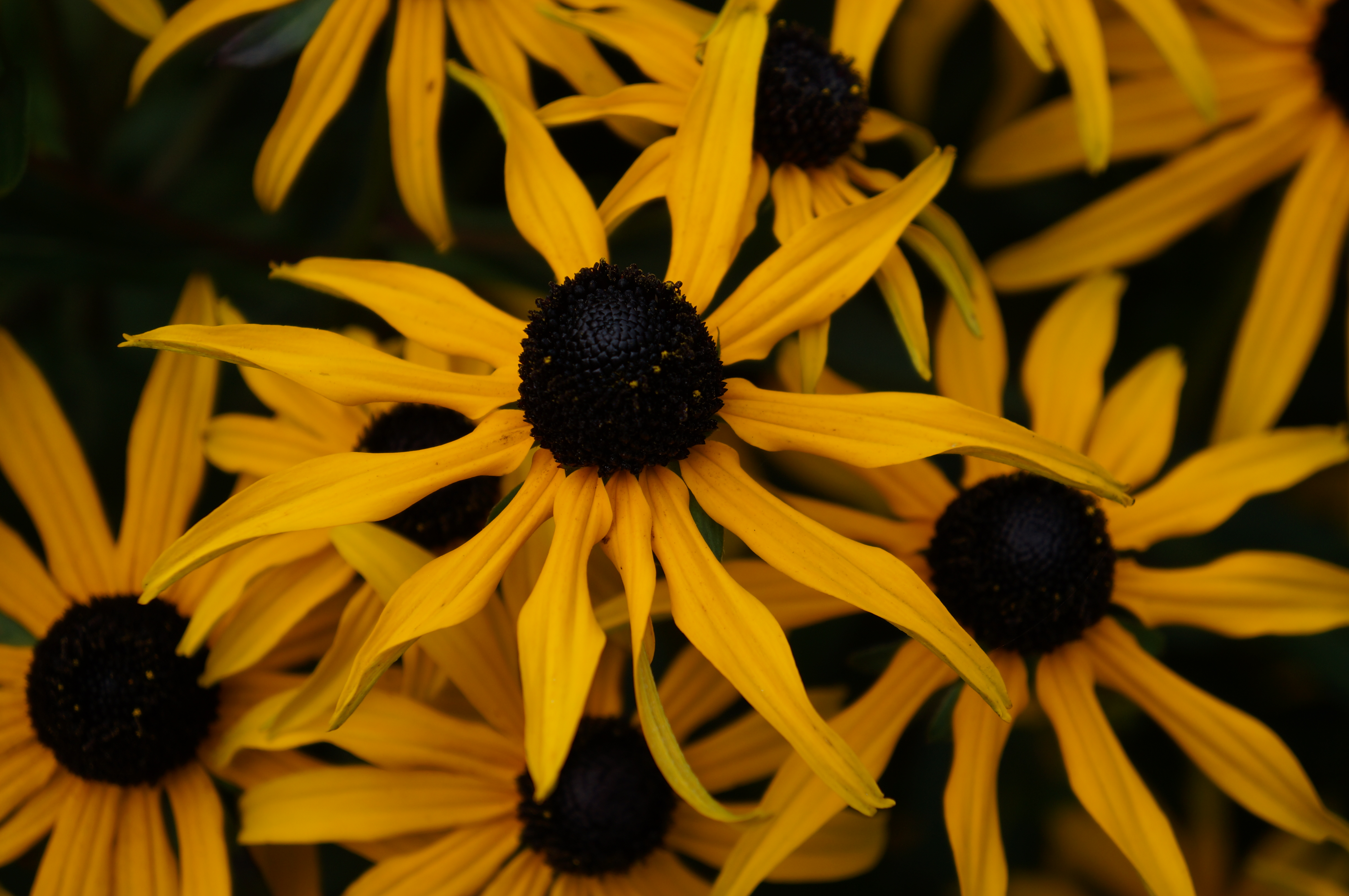 Sony NEX-F3 review sample image