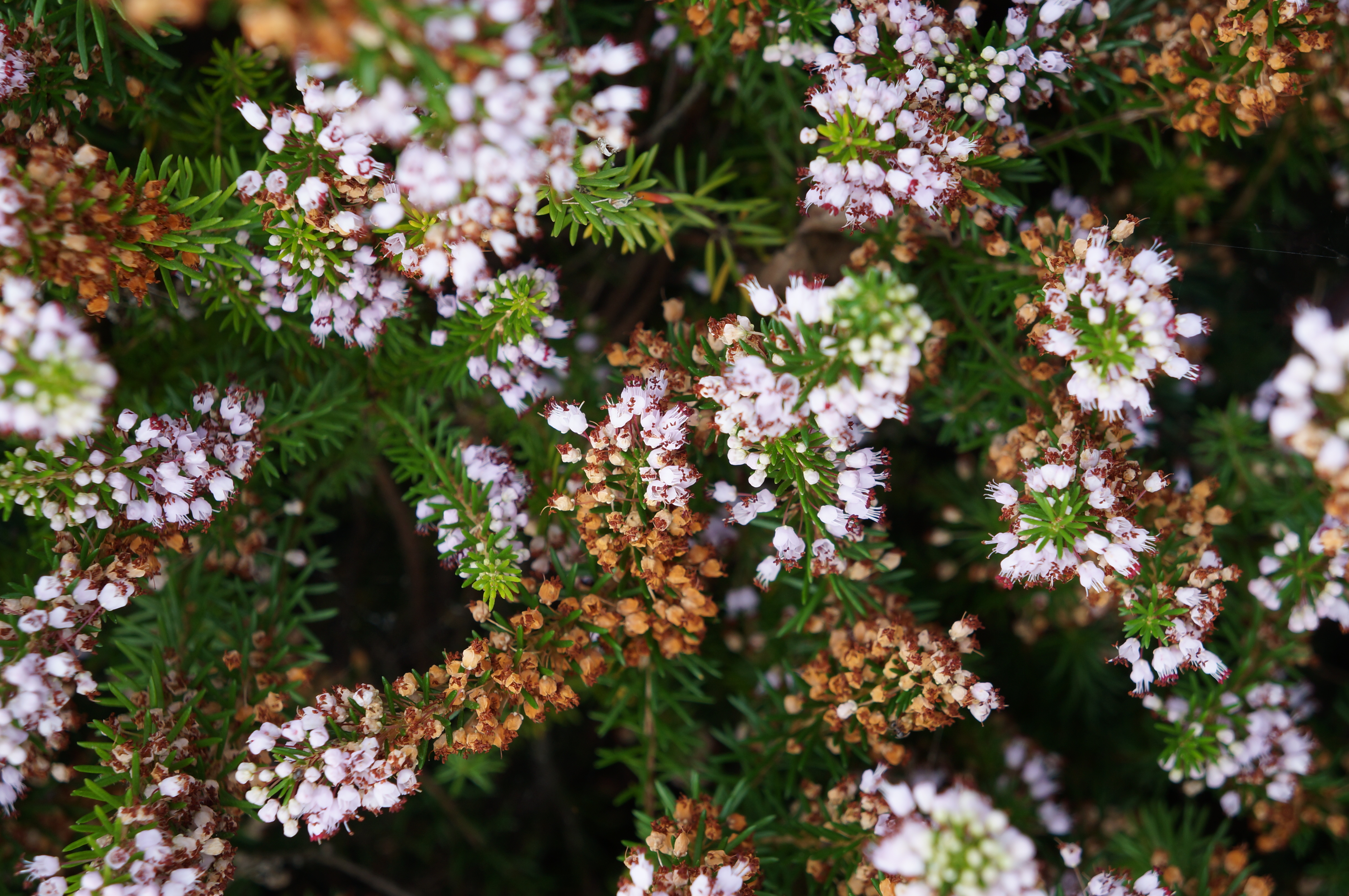Sony NEX-F3 review sample image