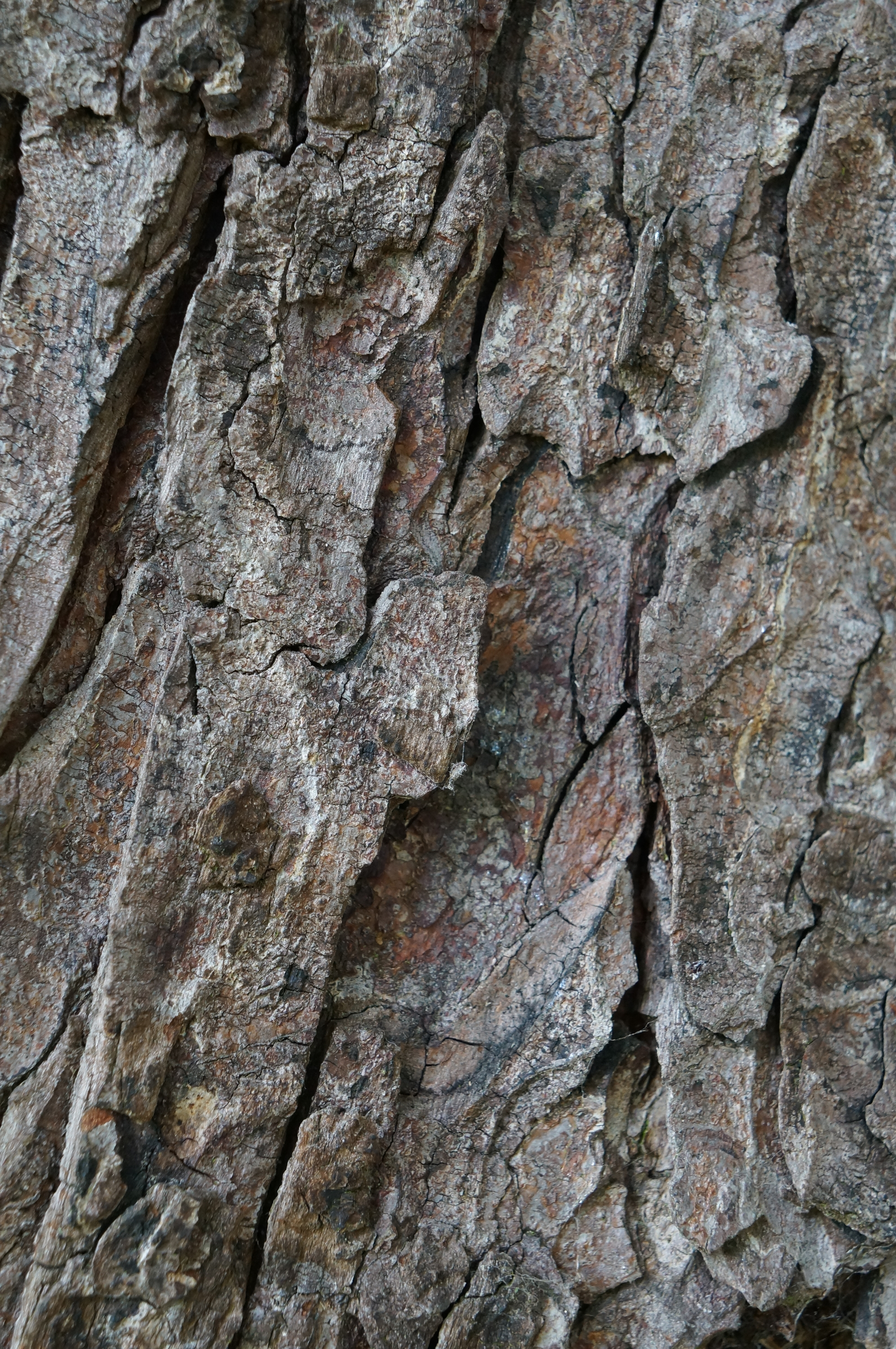 Sony NEX-F3 review sample image
