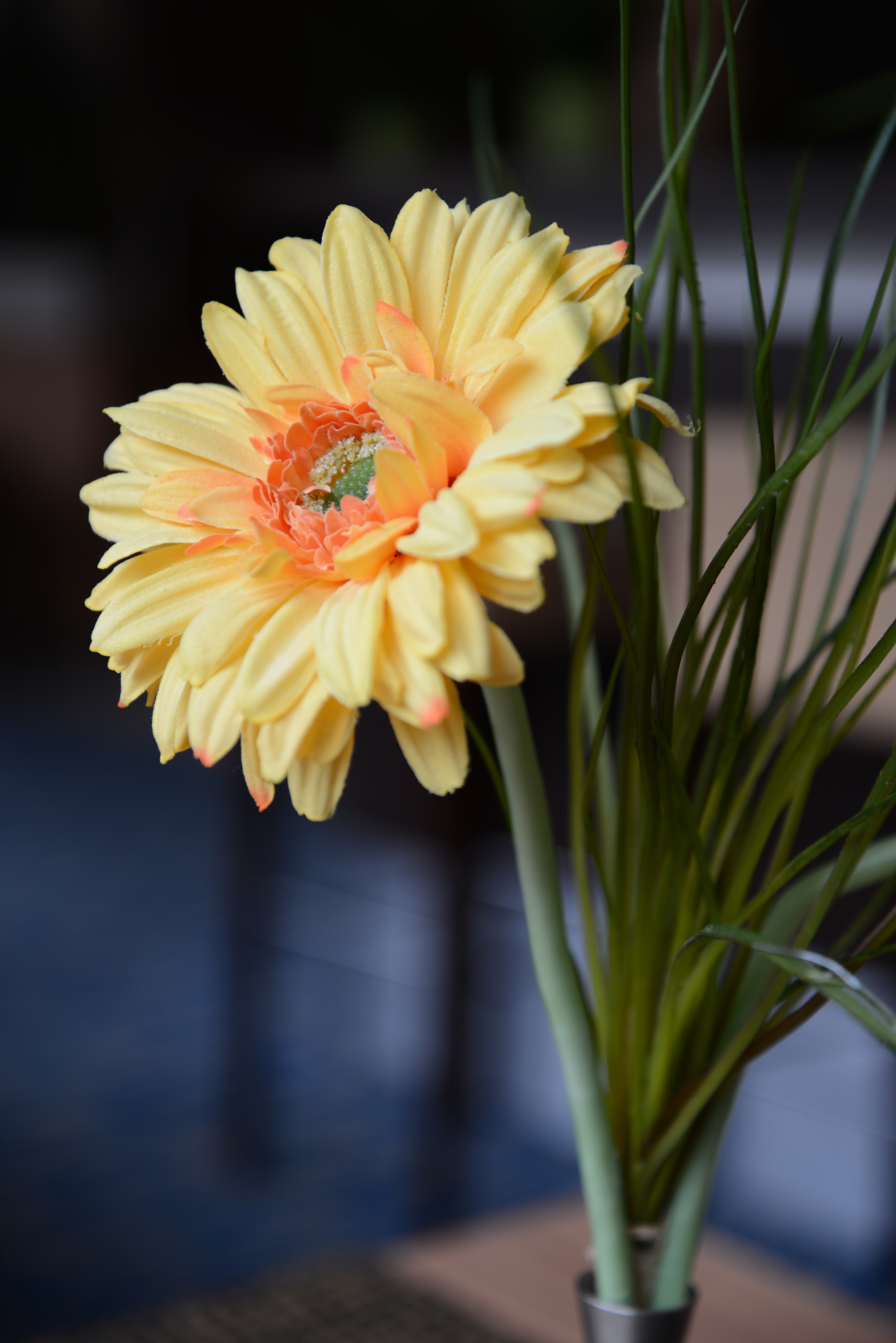 Nikon D600 review sample image