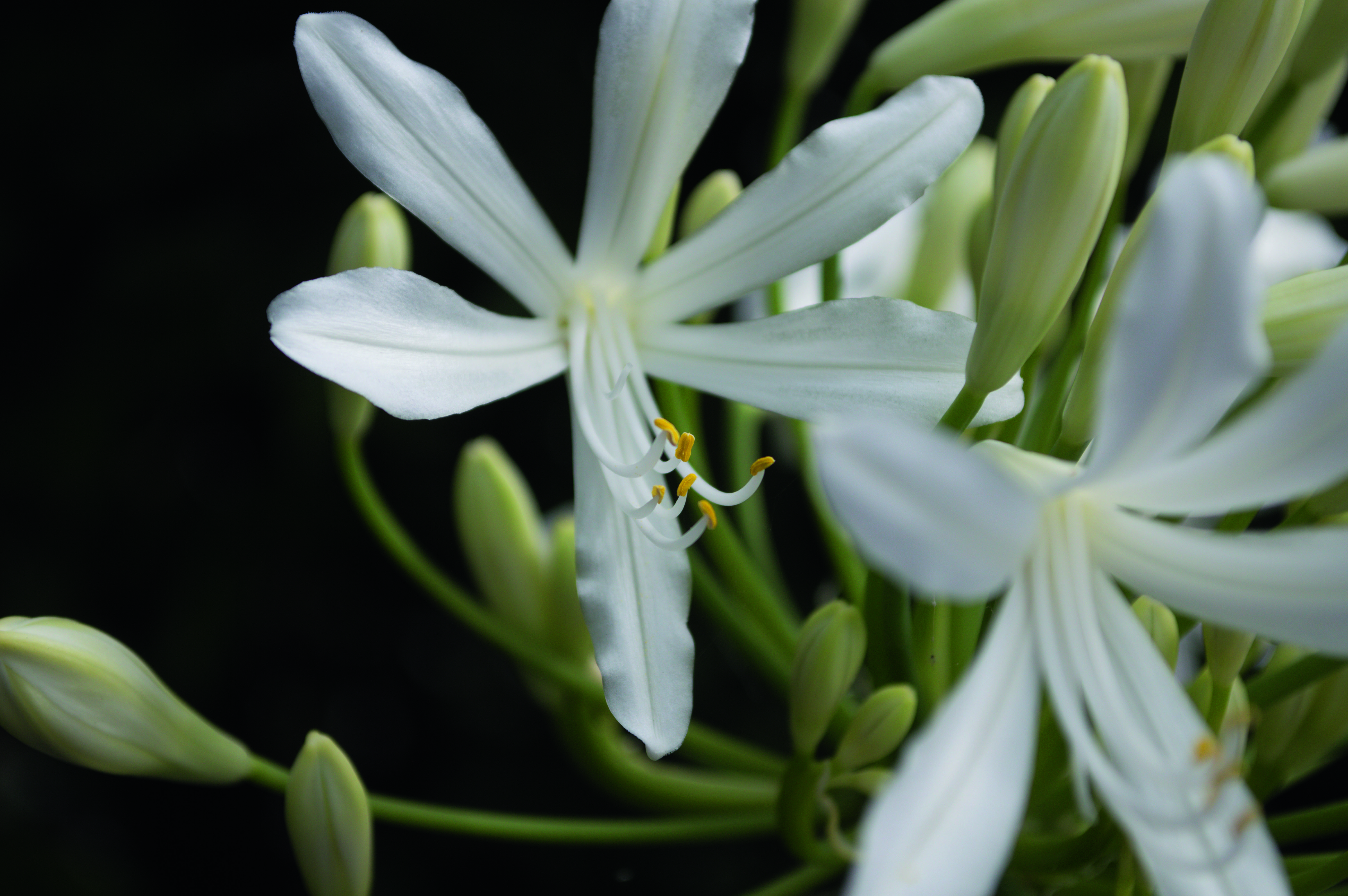 Nikon D3200 Review Sample Images