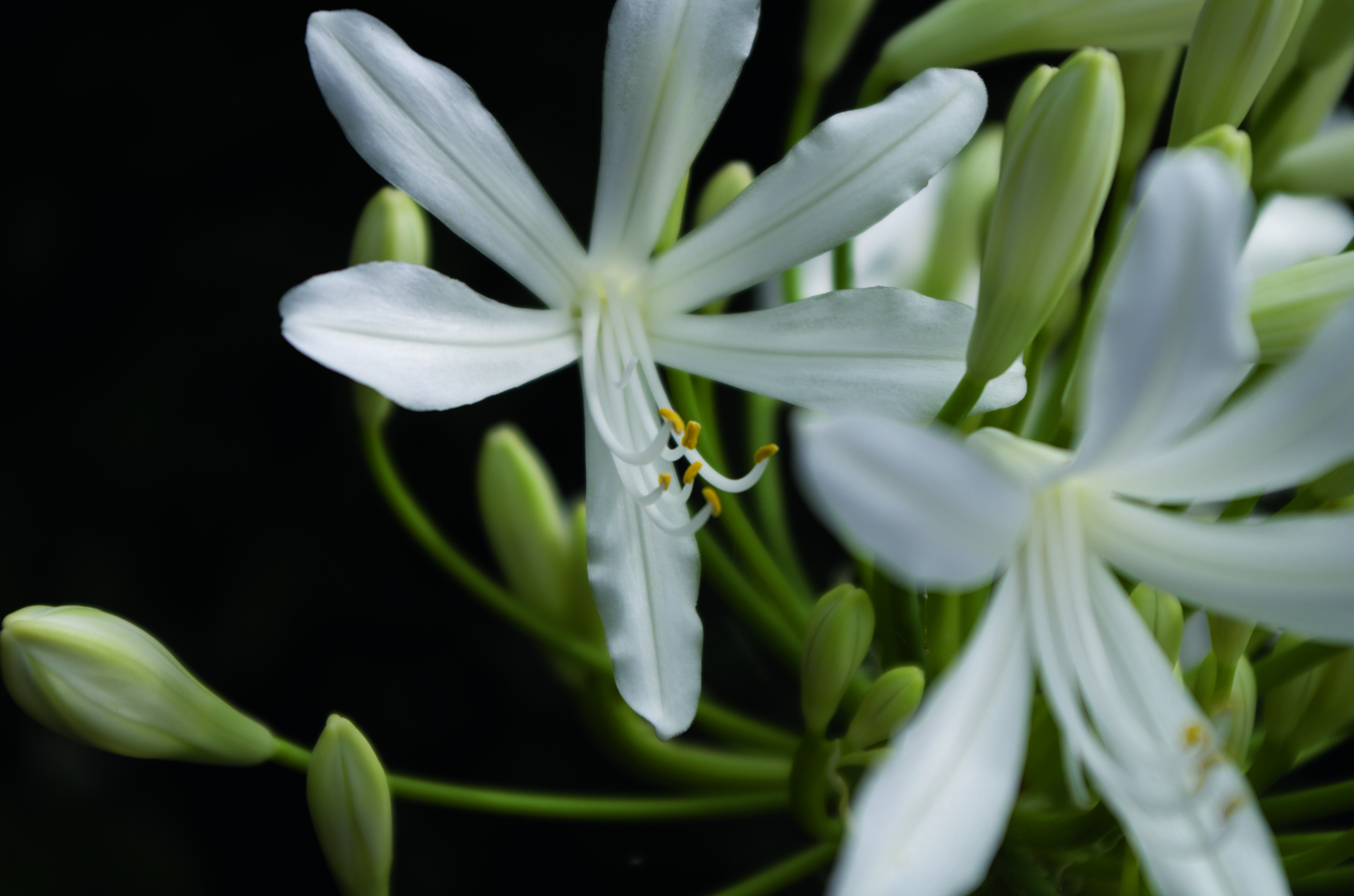 Pentax K-30 Review sample images
