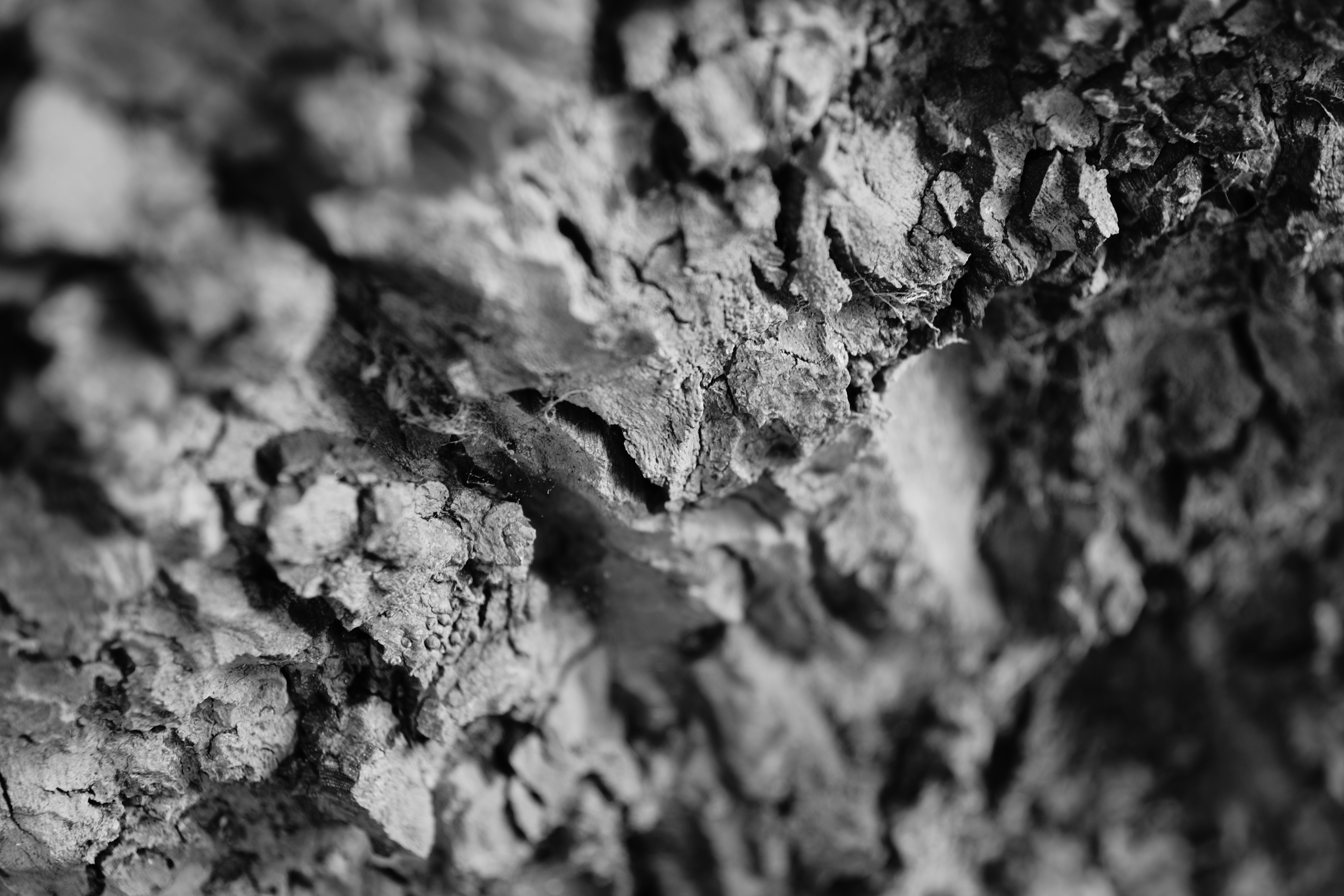 Sony a99 review sample image