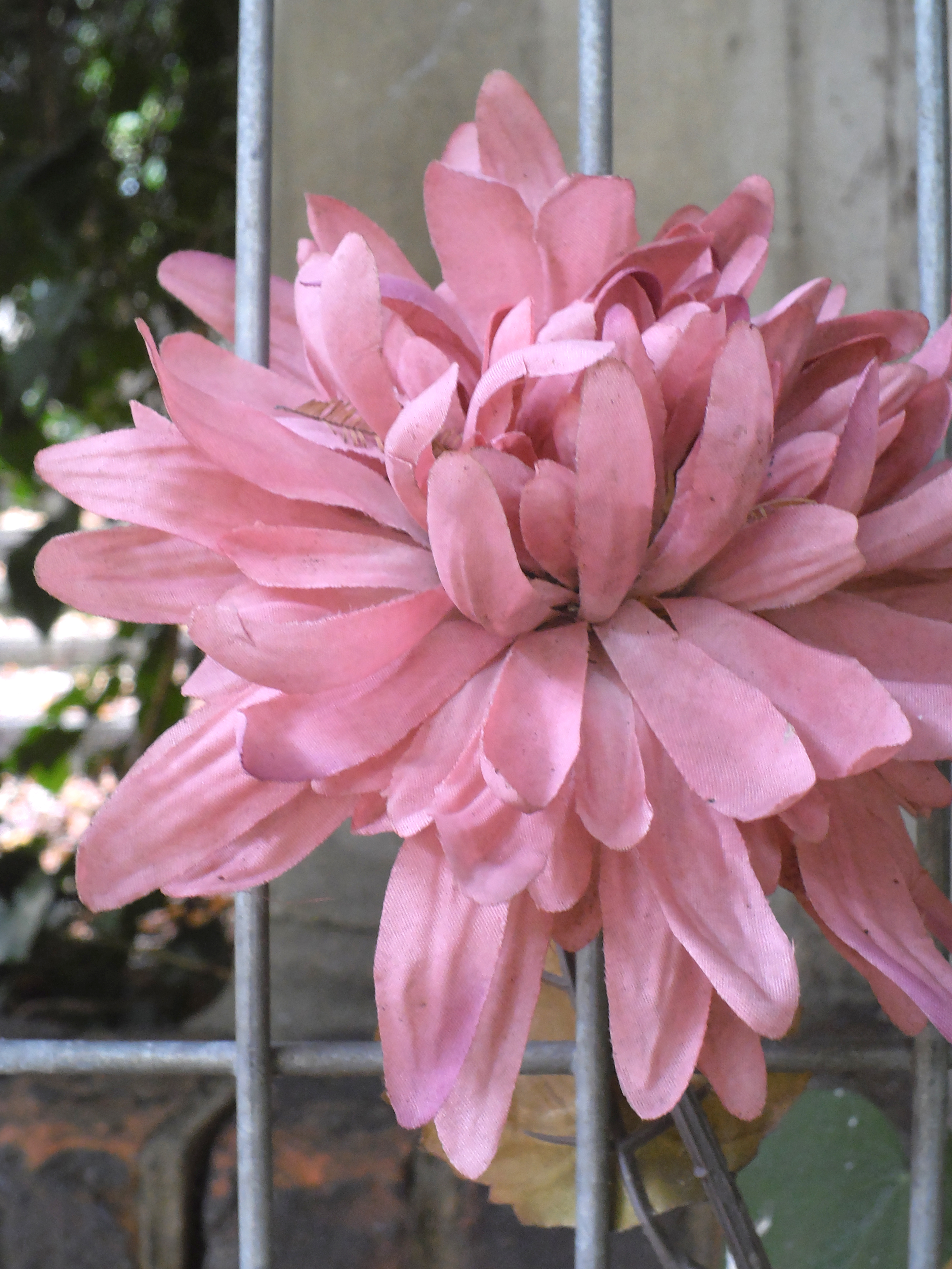 BenQ G1 review sample image 5