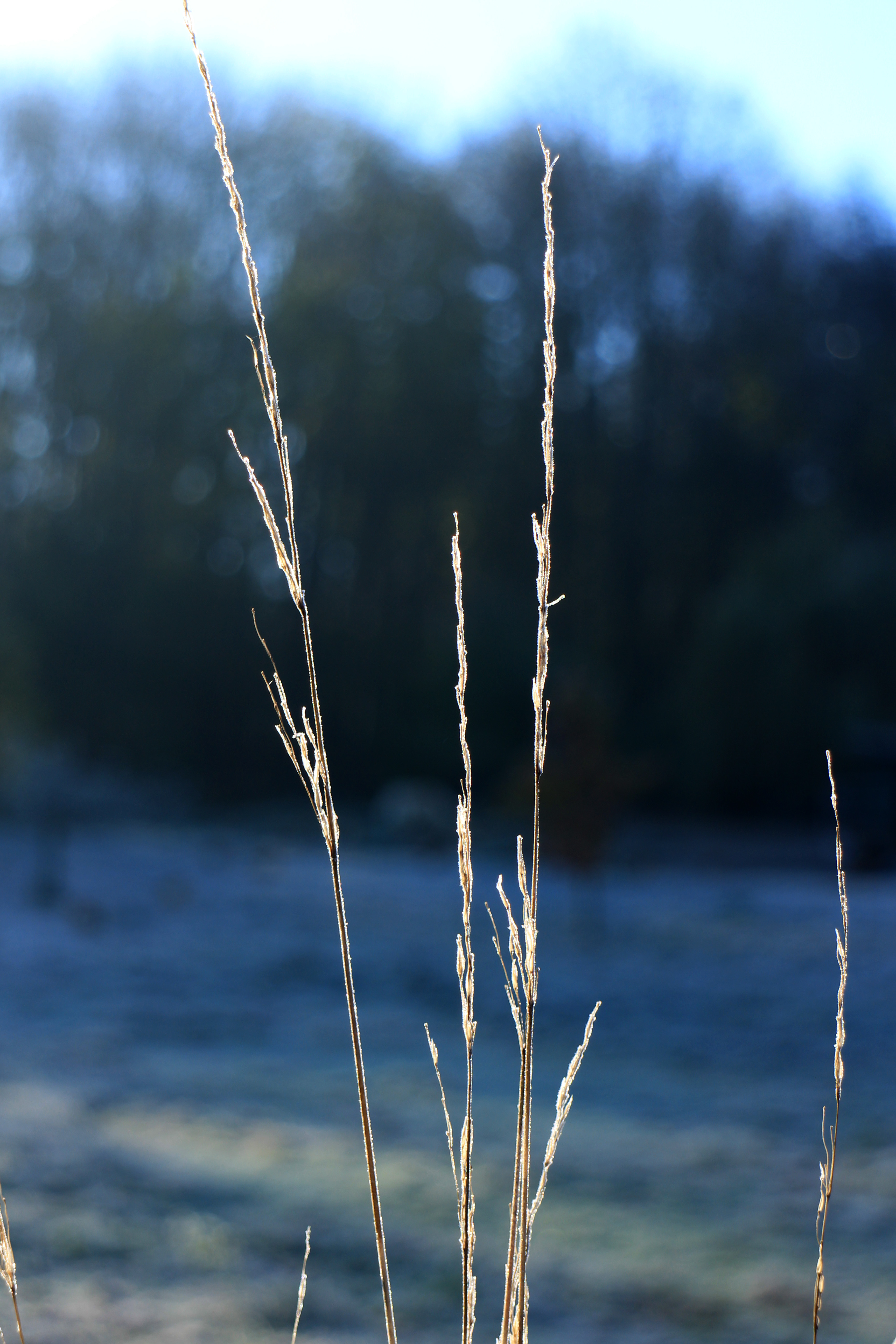 Canon EOS M review sample image