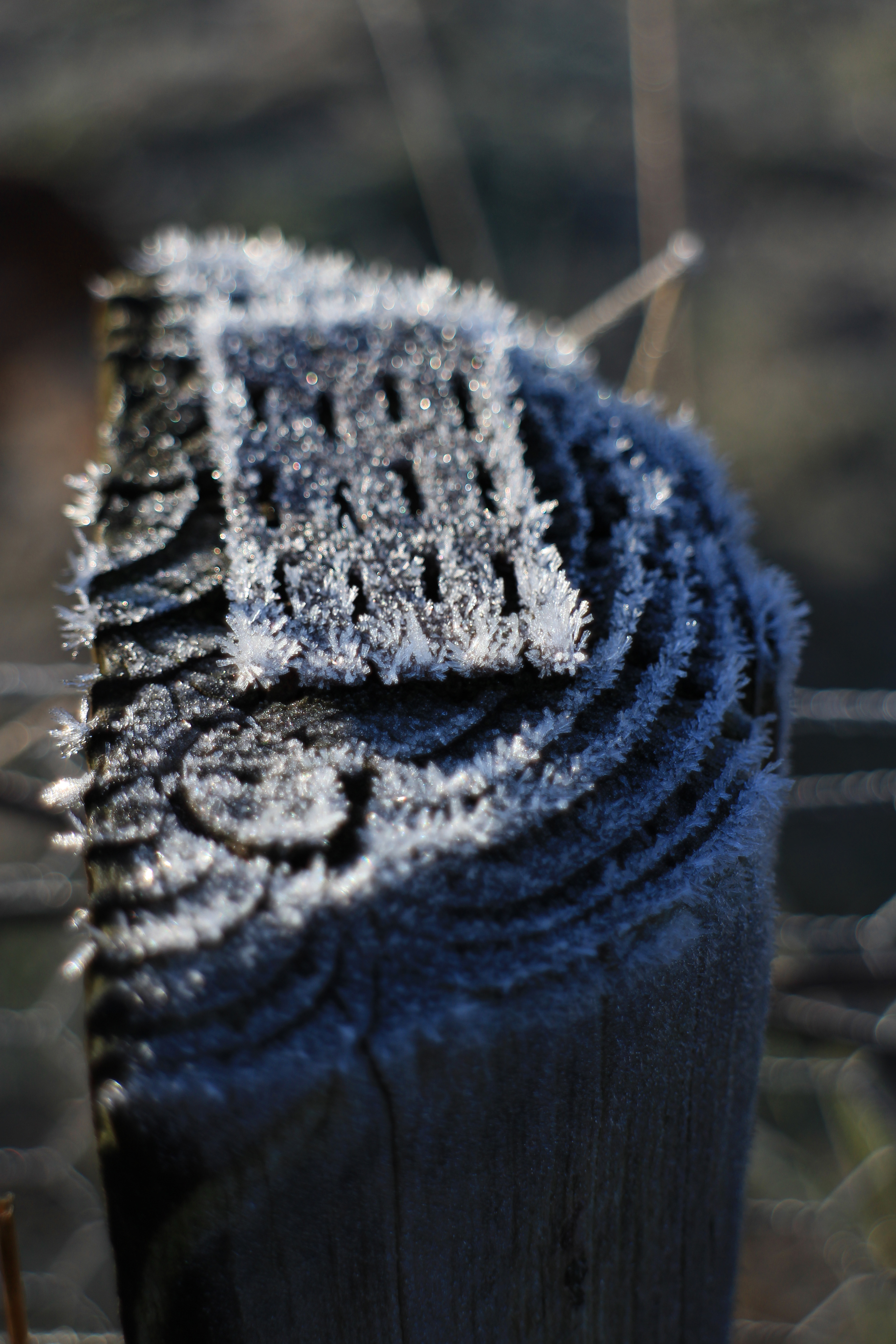 Canon EOS M review sample image