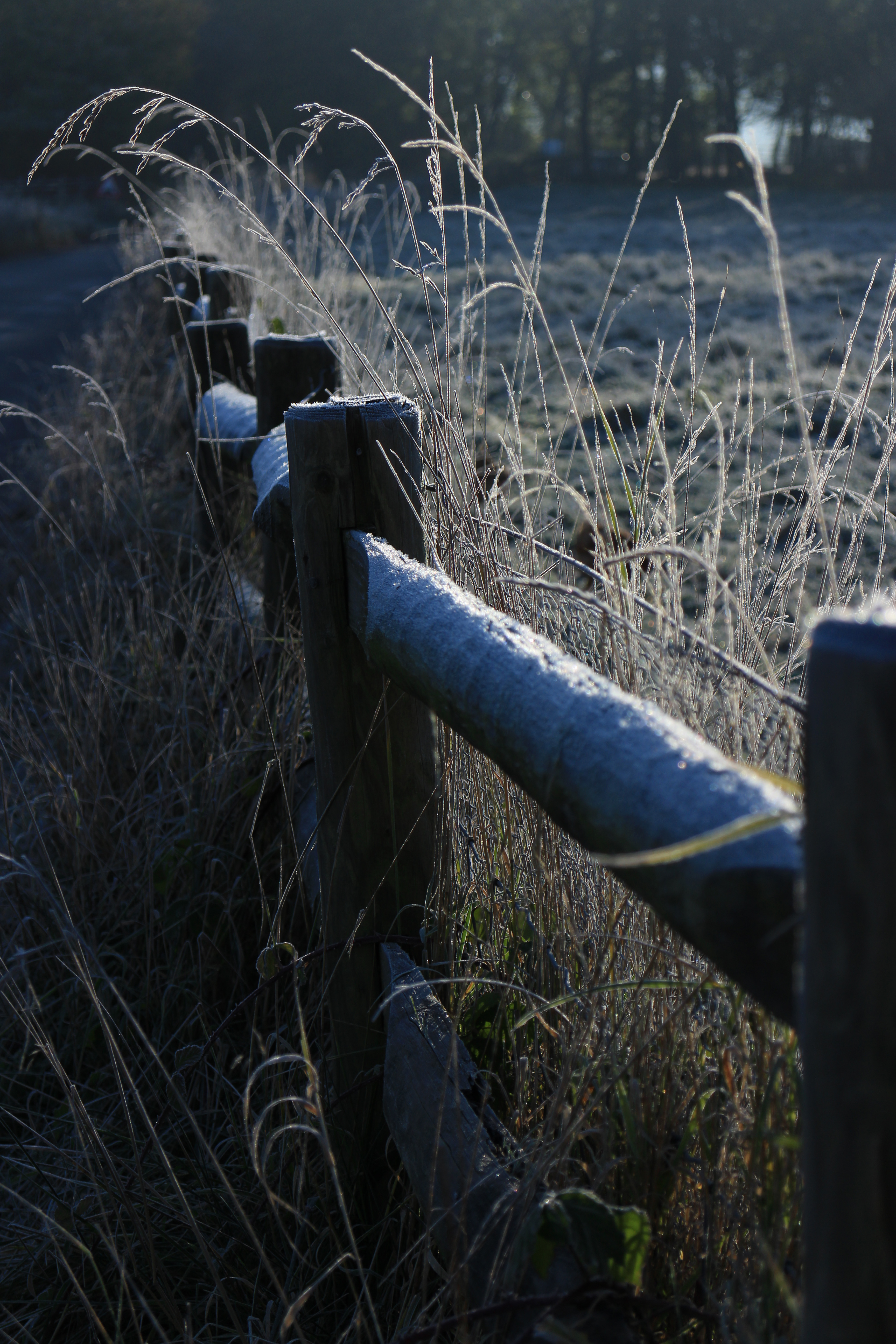Canon EOS M review sample image