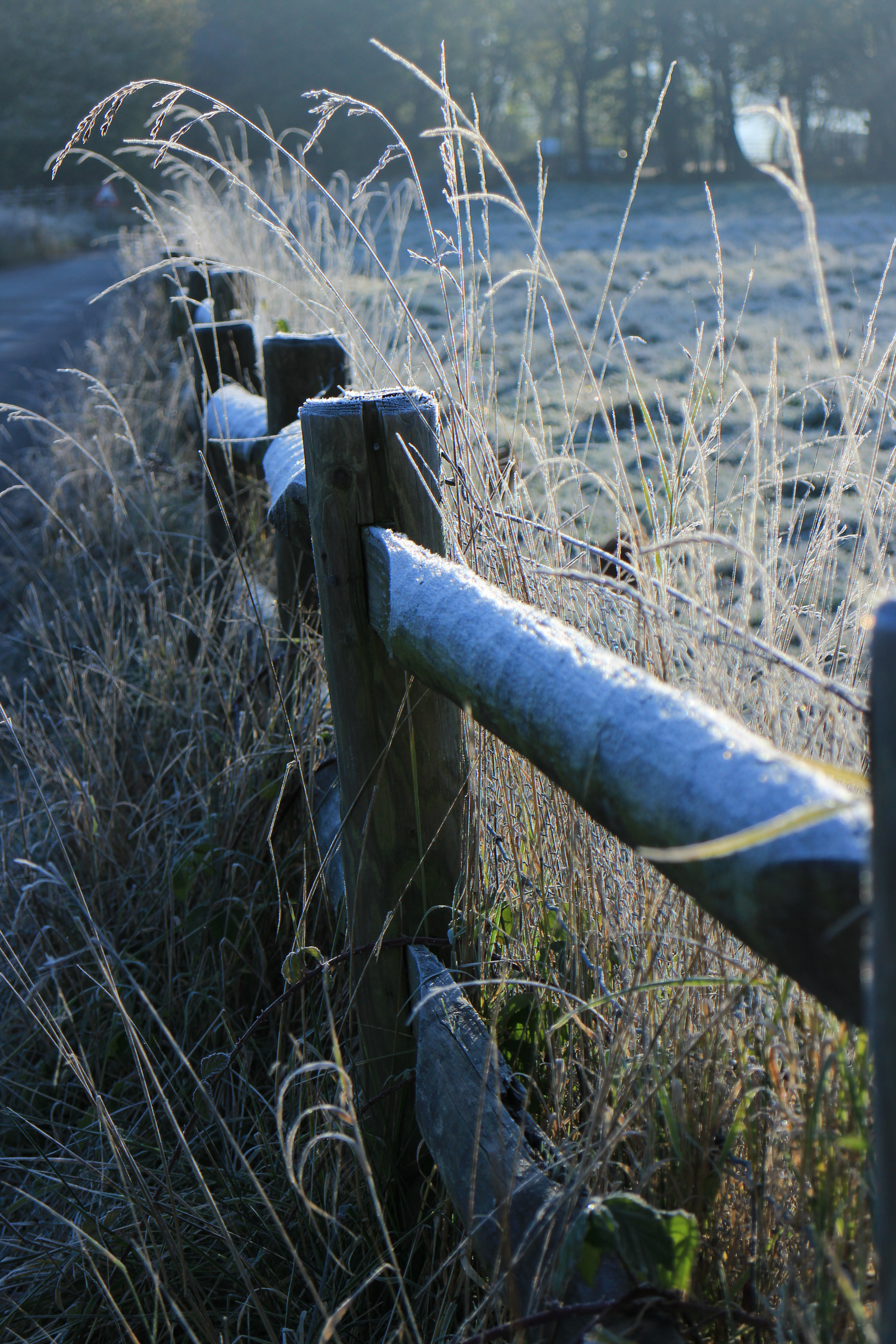 Canon EOS M review sample image