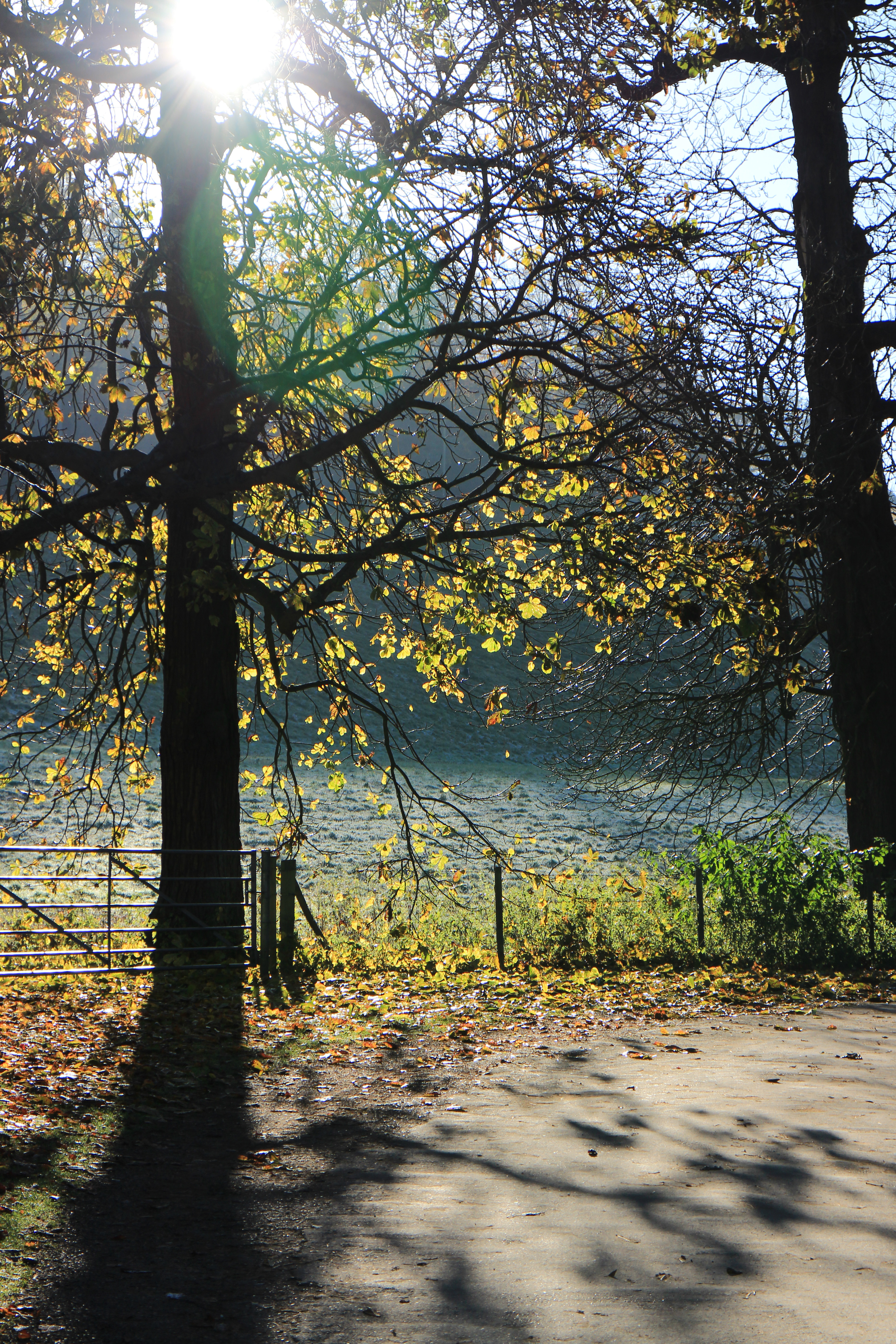 Canon EOS M review sample image