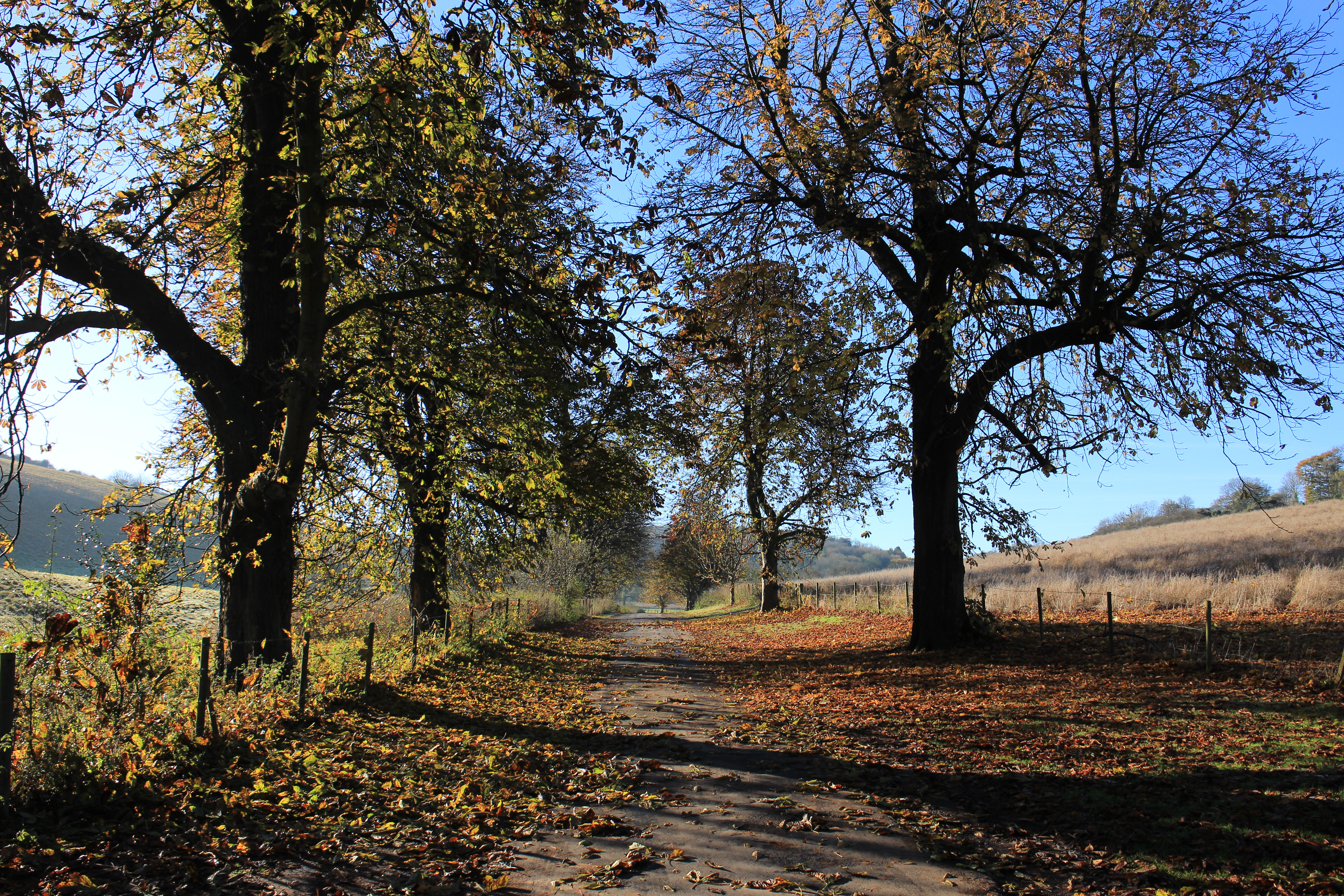 Canon EOS M review sample image