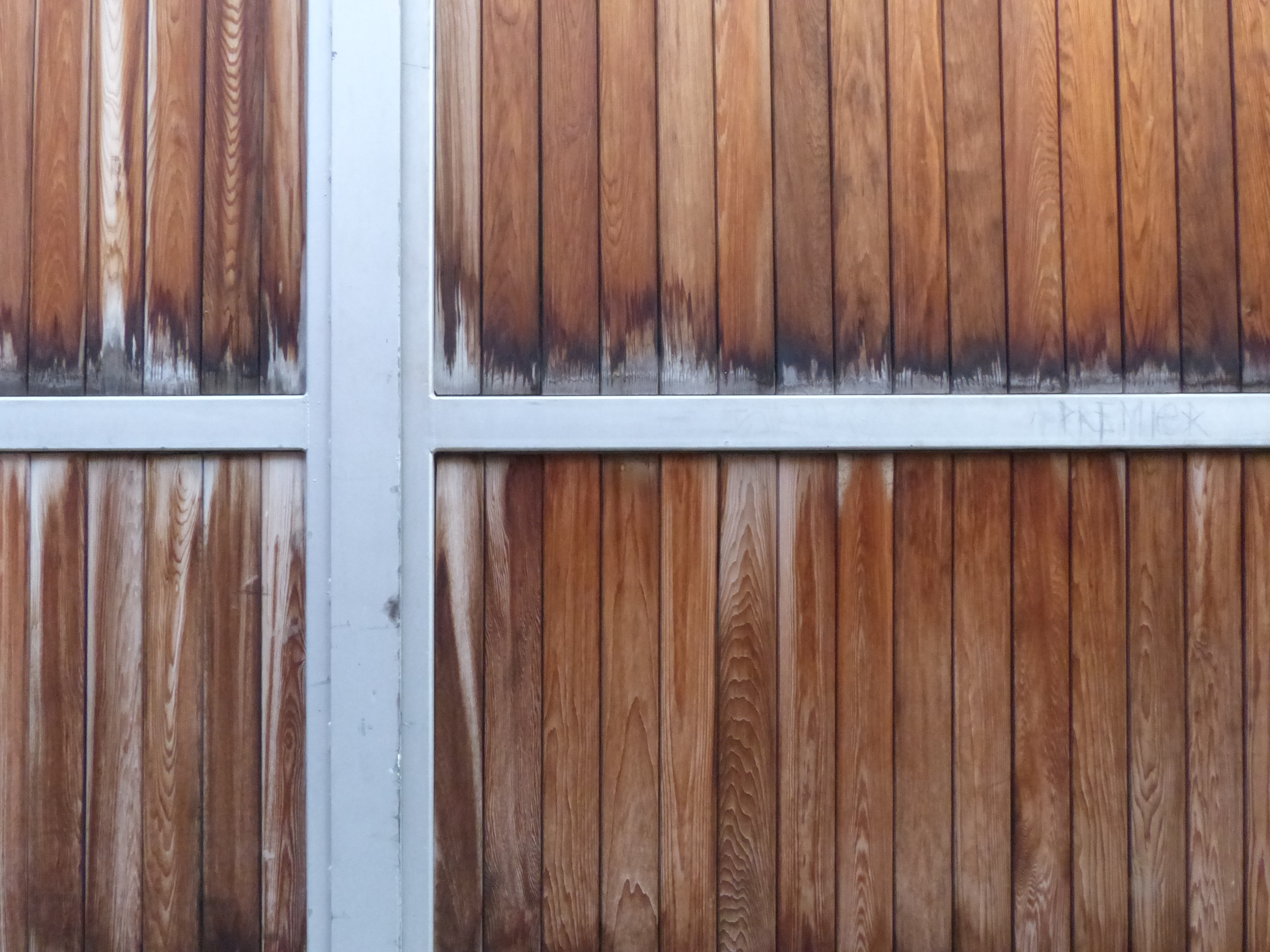 Panasonic FZ200 review sample image