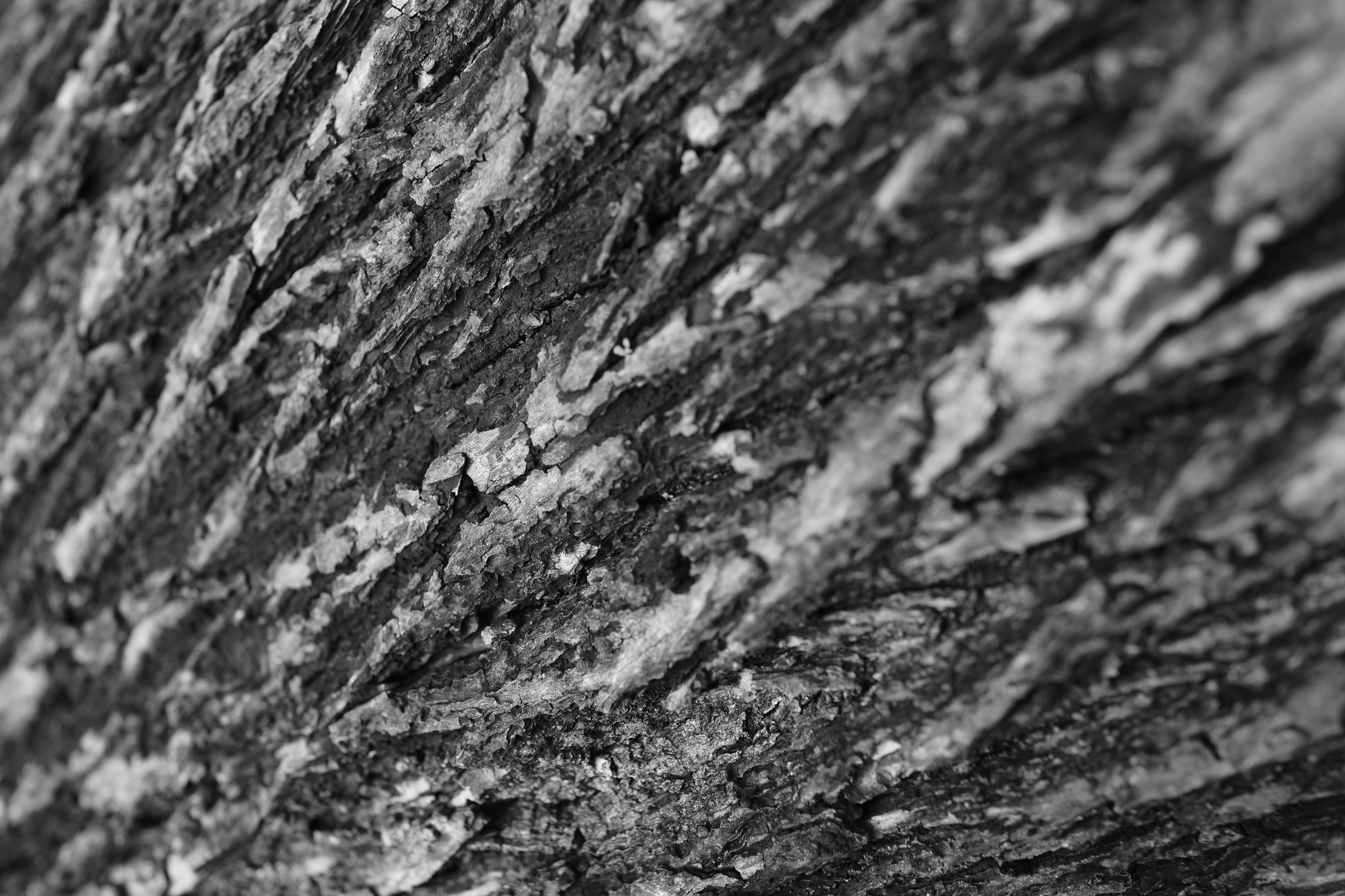 Sony Cyber-shot RX1 review sample image