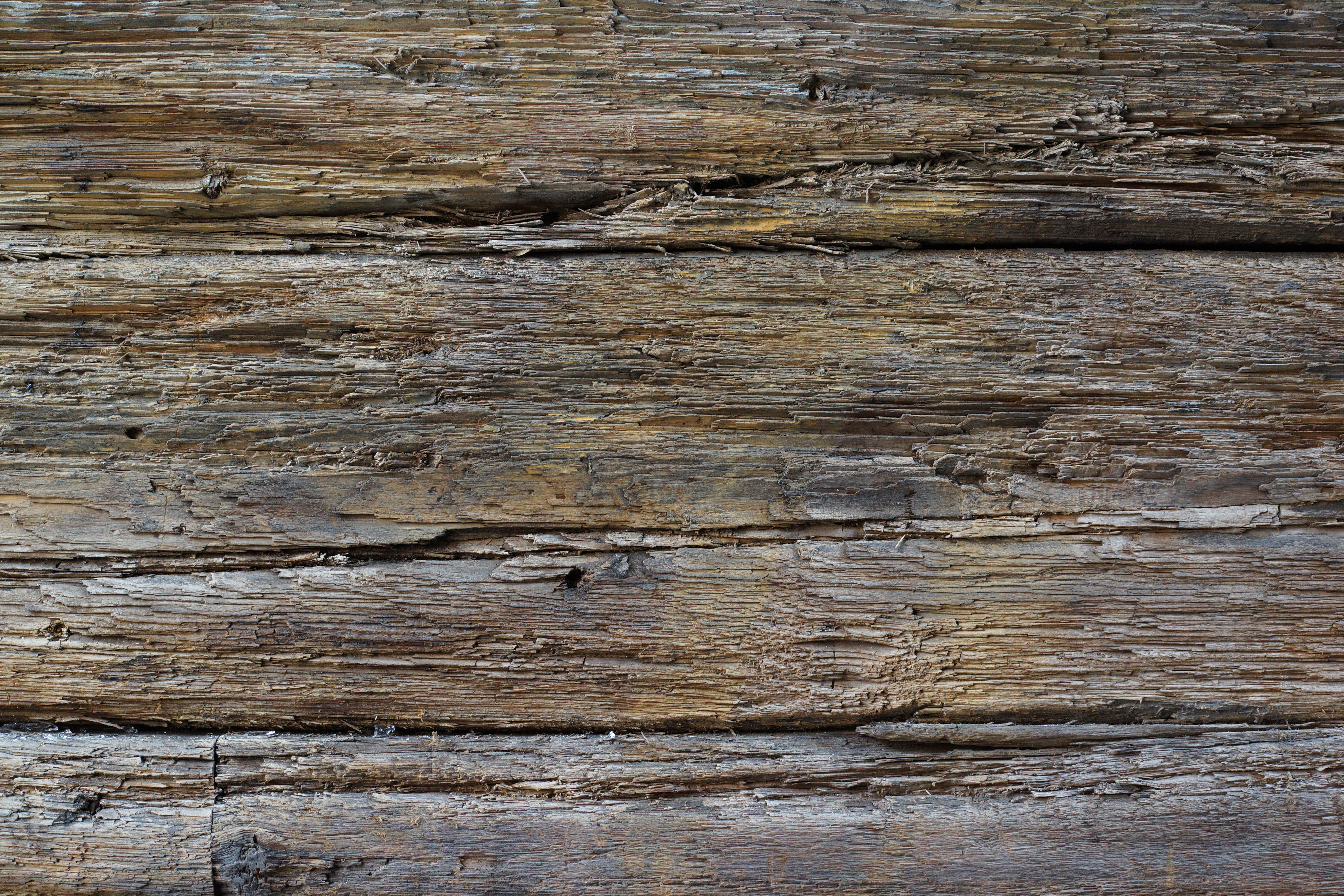 Sony Cyber-shot RX1 review sample image
