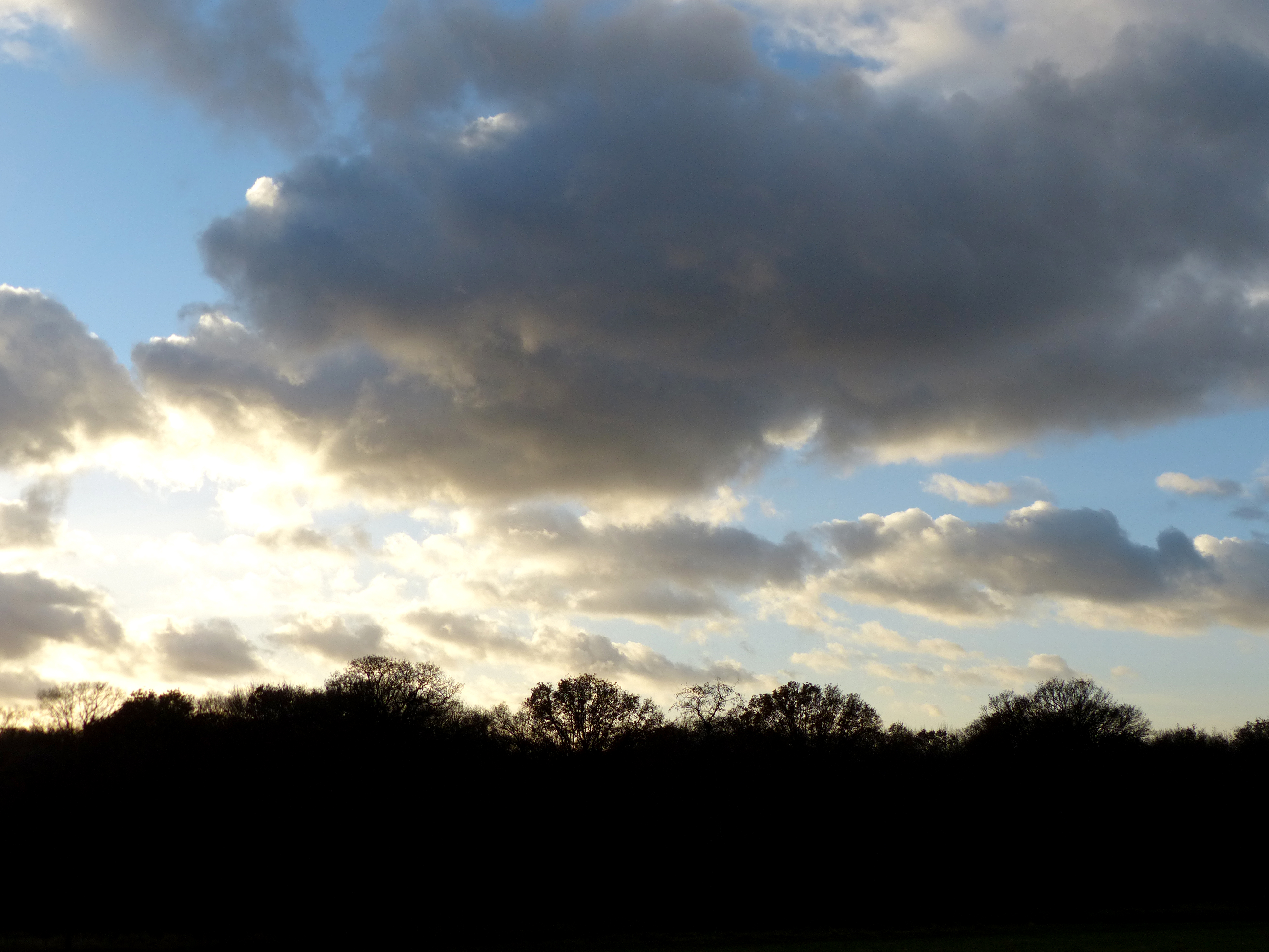 Panasonic Lumix FZ200 sample image 18