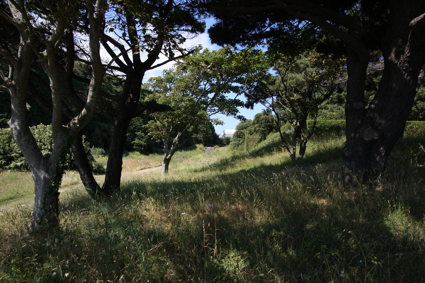 Canon EF-S 10-22mm