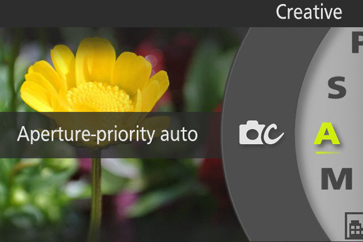 Nikon S1 product image
