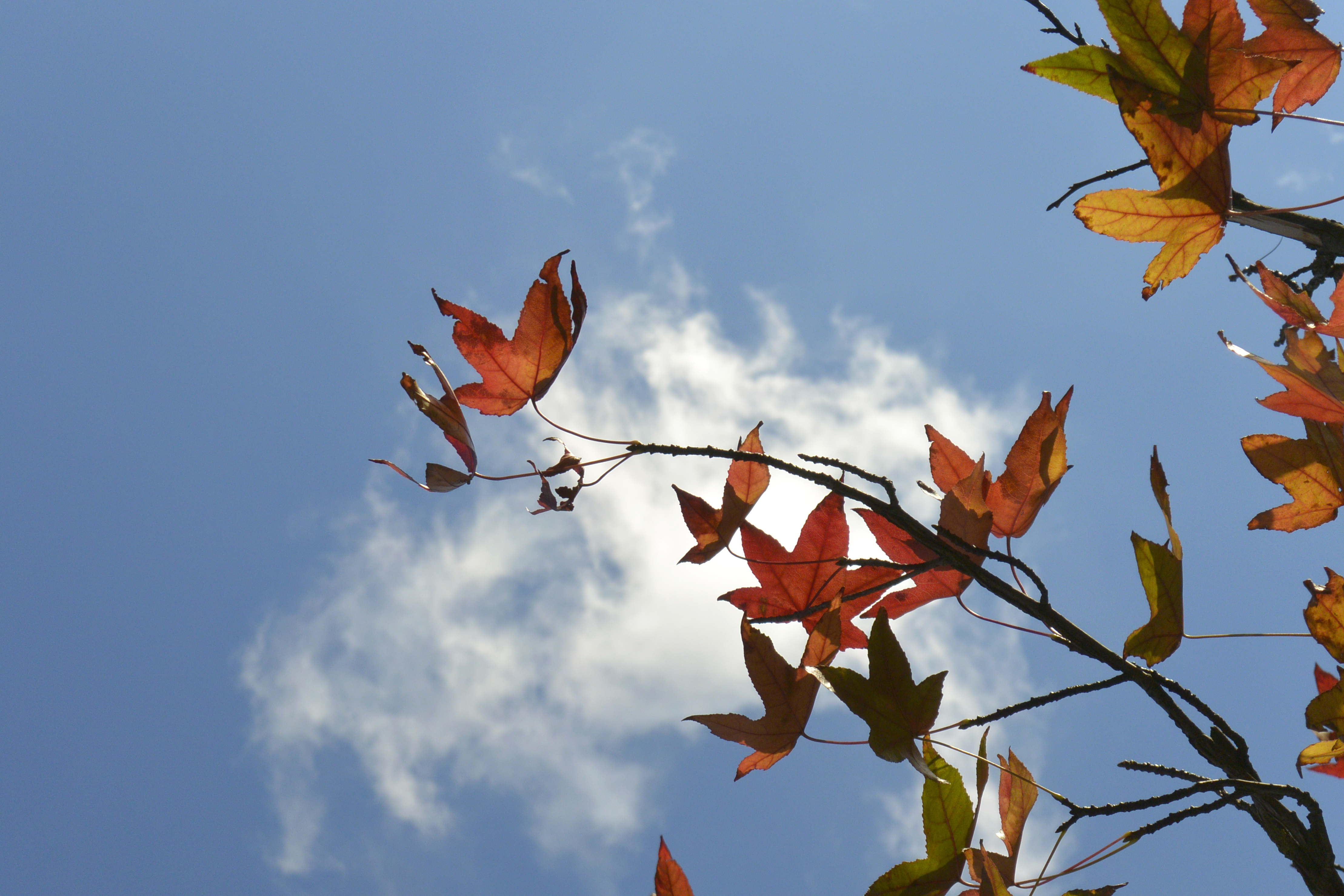 Nikon 1 V2 review sample image 3 | Reviews | What Digital Camera