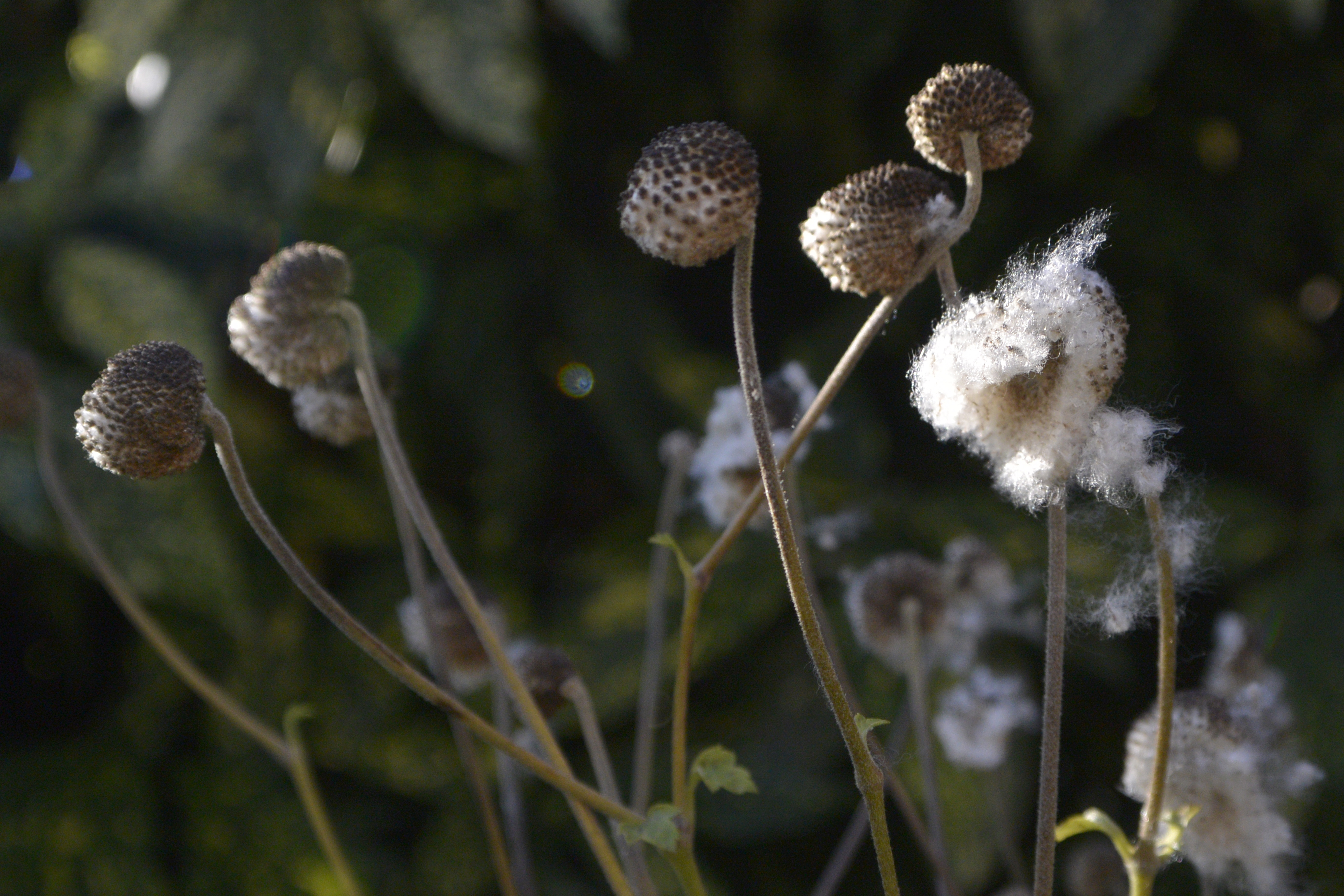 Nikon 1 V2 review sample image 5 | Reviews | What Digital Camera