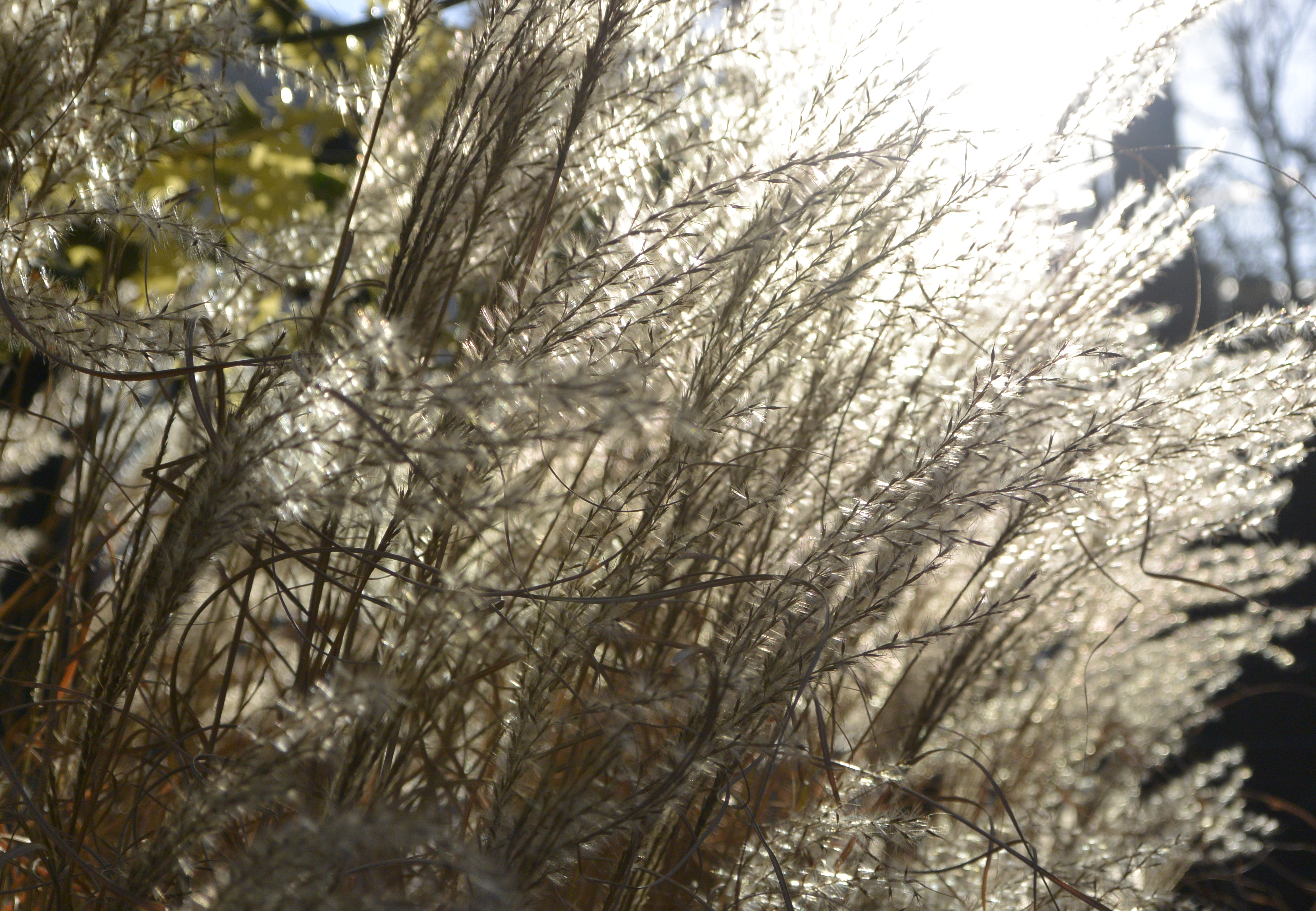 Nikon 1 V2 review sample image 6 | Reviews | What Digital Camera