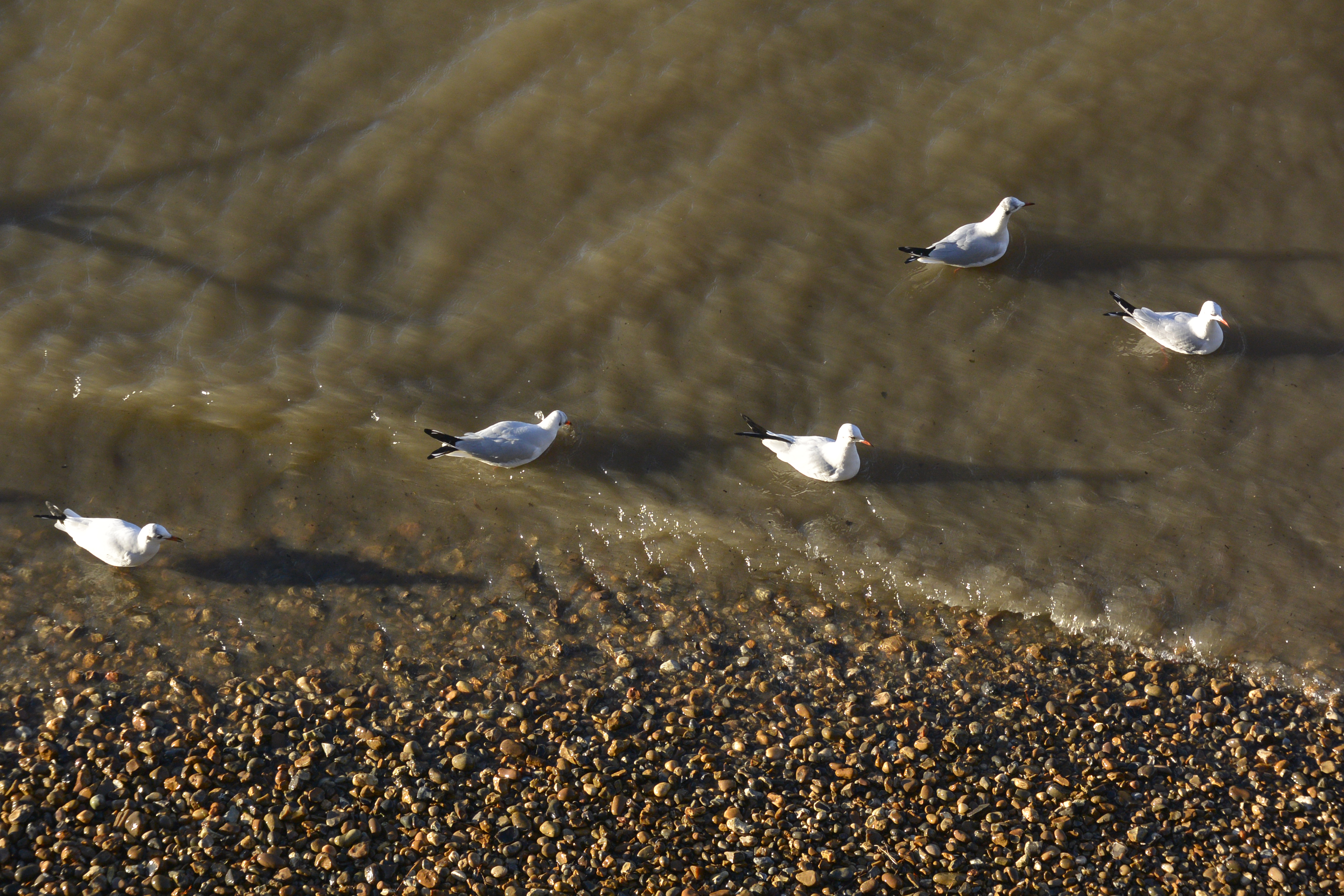 Nikon 1 V2 review sample image 16 | Reviews | What Digital Camera