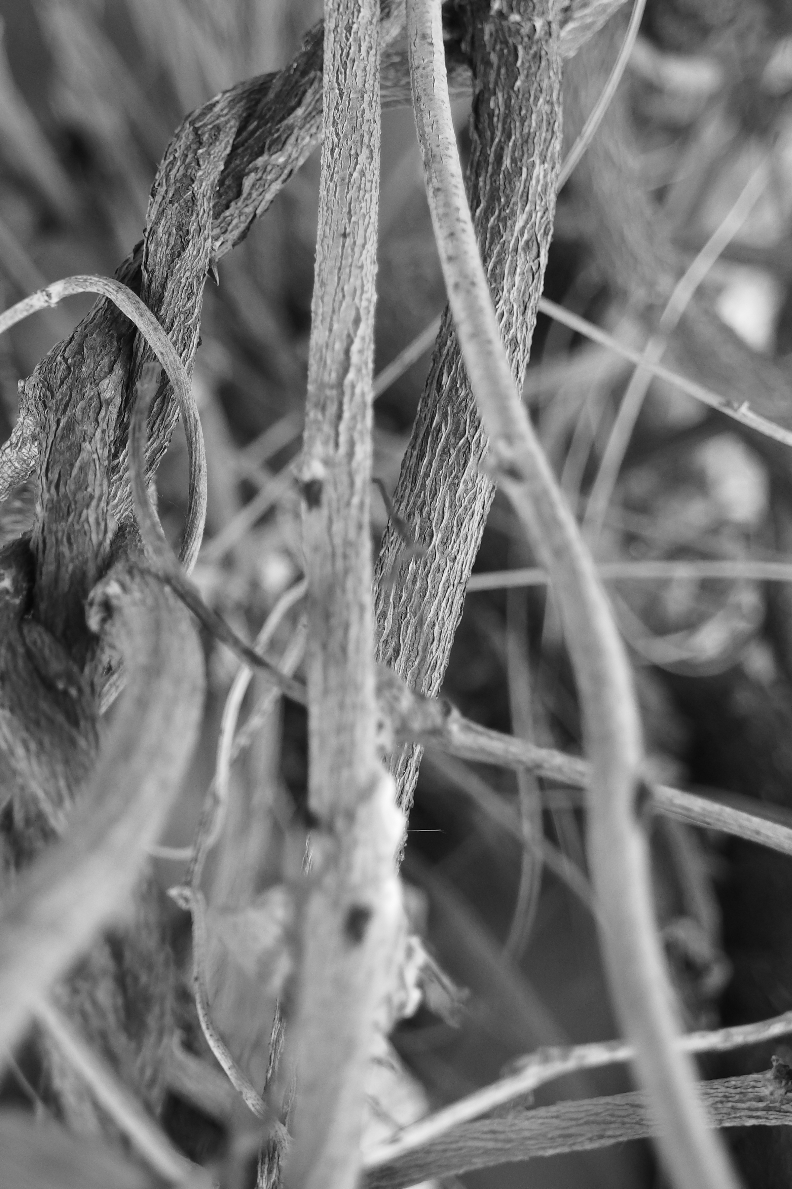 Olympus XZ-2 sample image 9 | Reviews | What Digital Camera