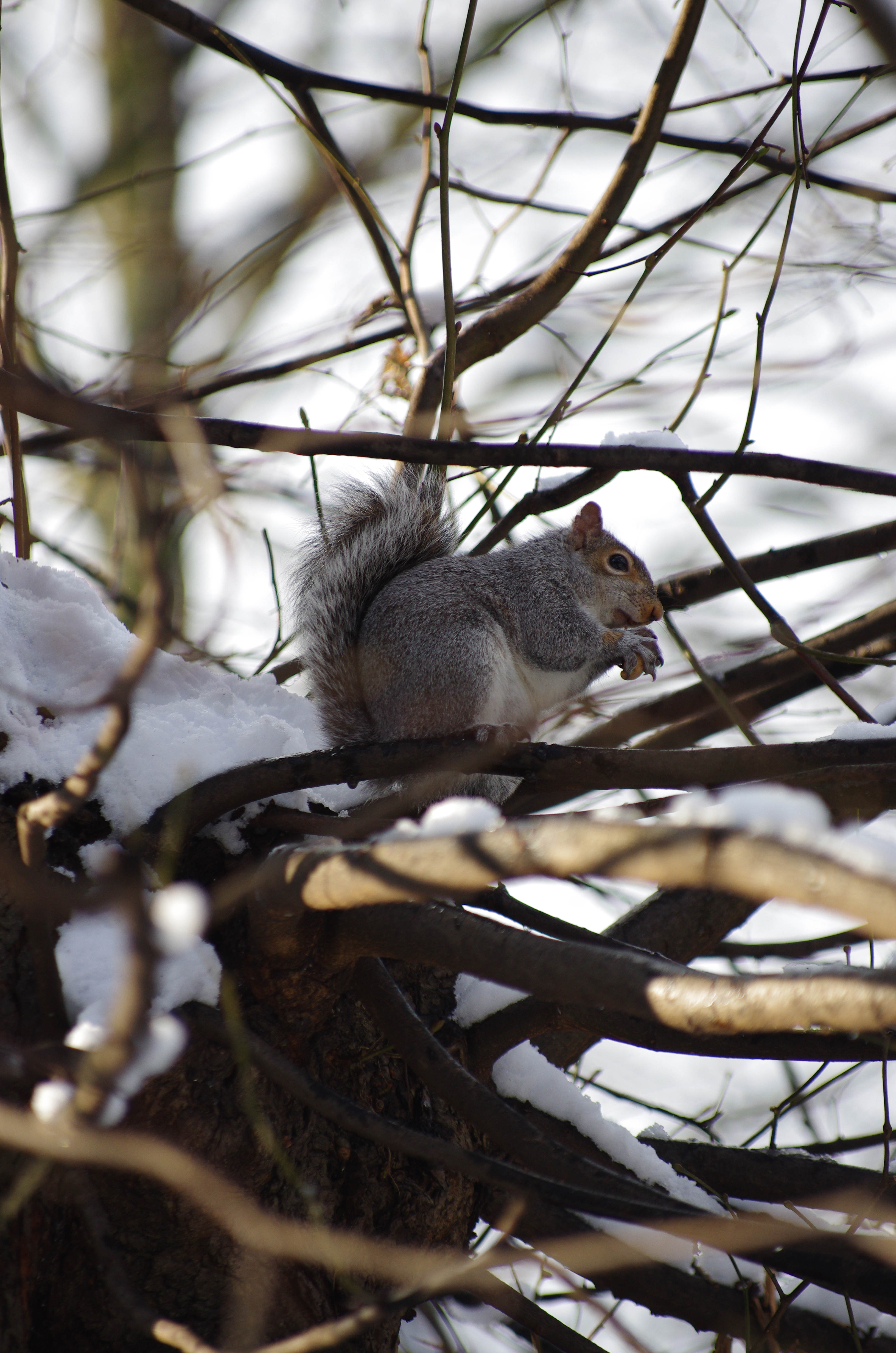 Pentax K5 II review sample image