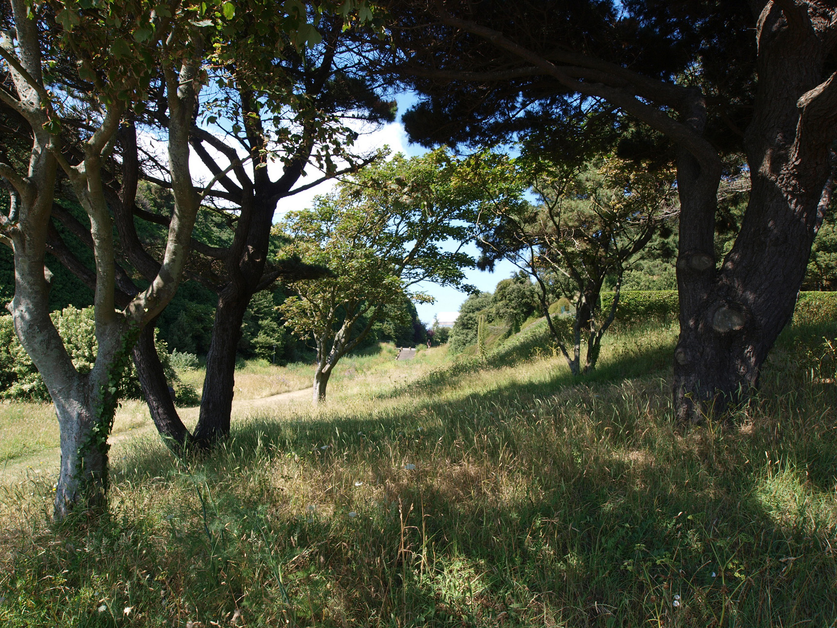 olympus 9-18mm