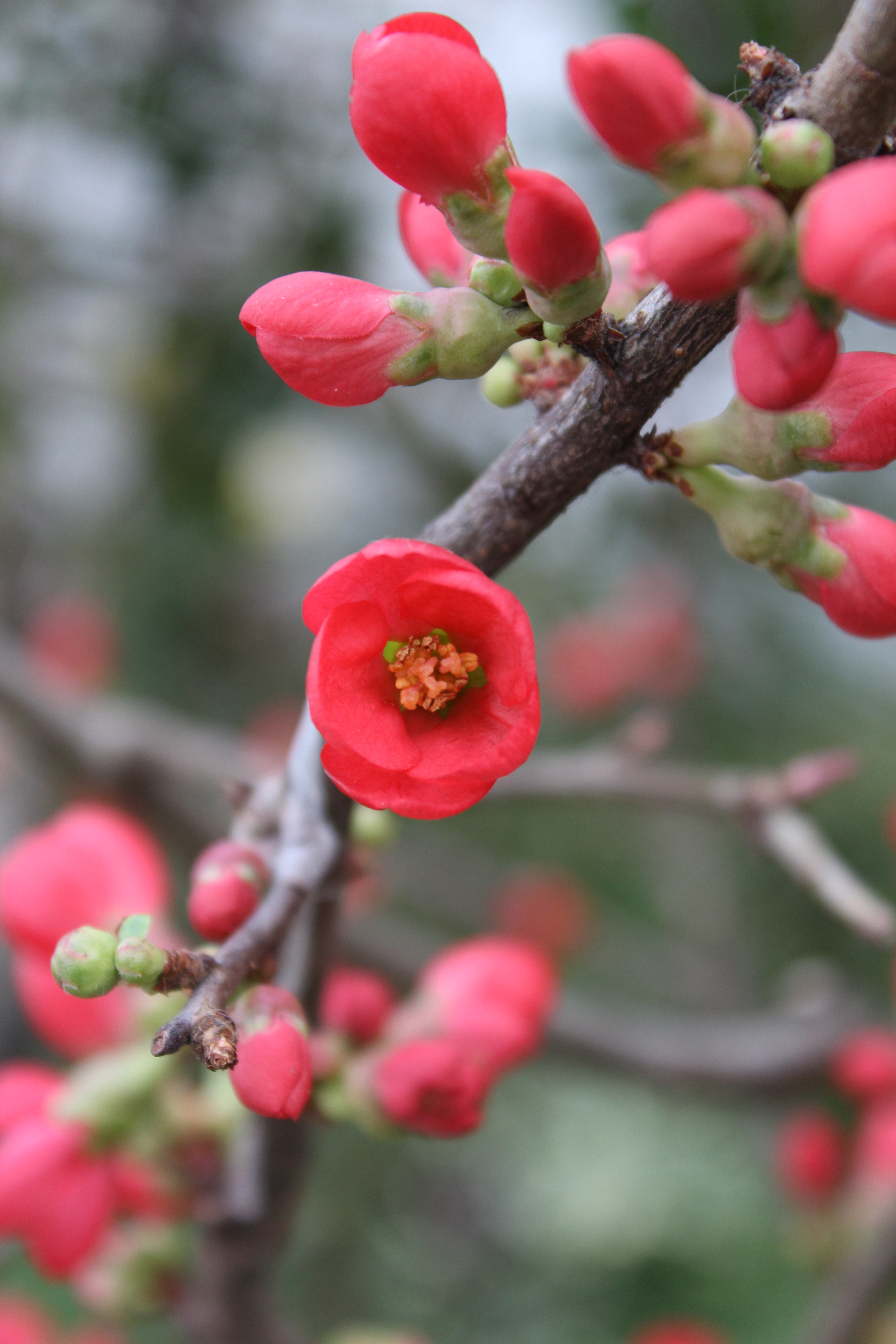 Canon EOS 600D group test sample 6 | Reviews | What Digital Camera