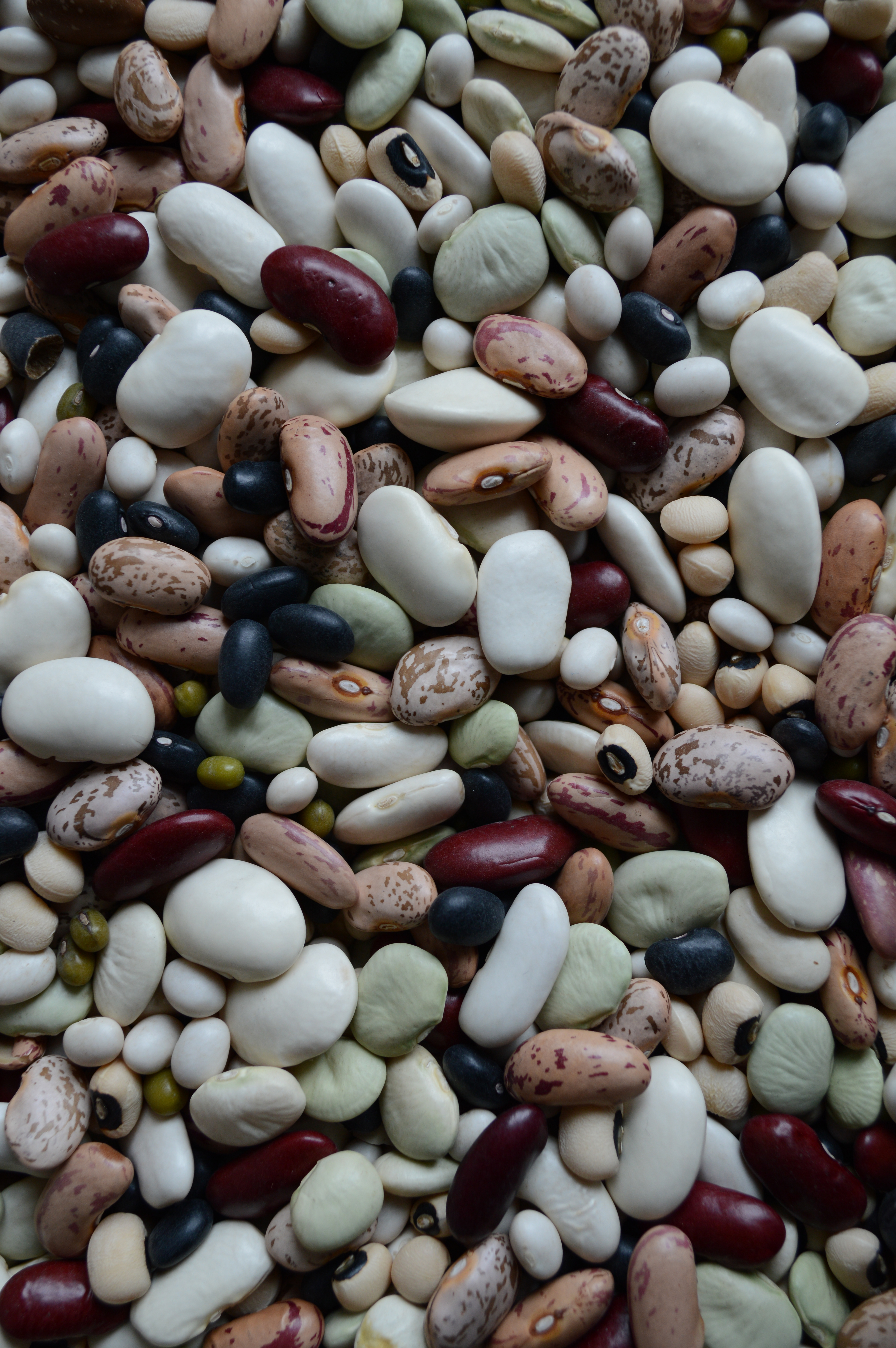 Nikon D3200 group test sample 4 | Reviews | What Digital Camera