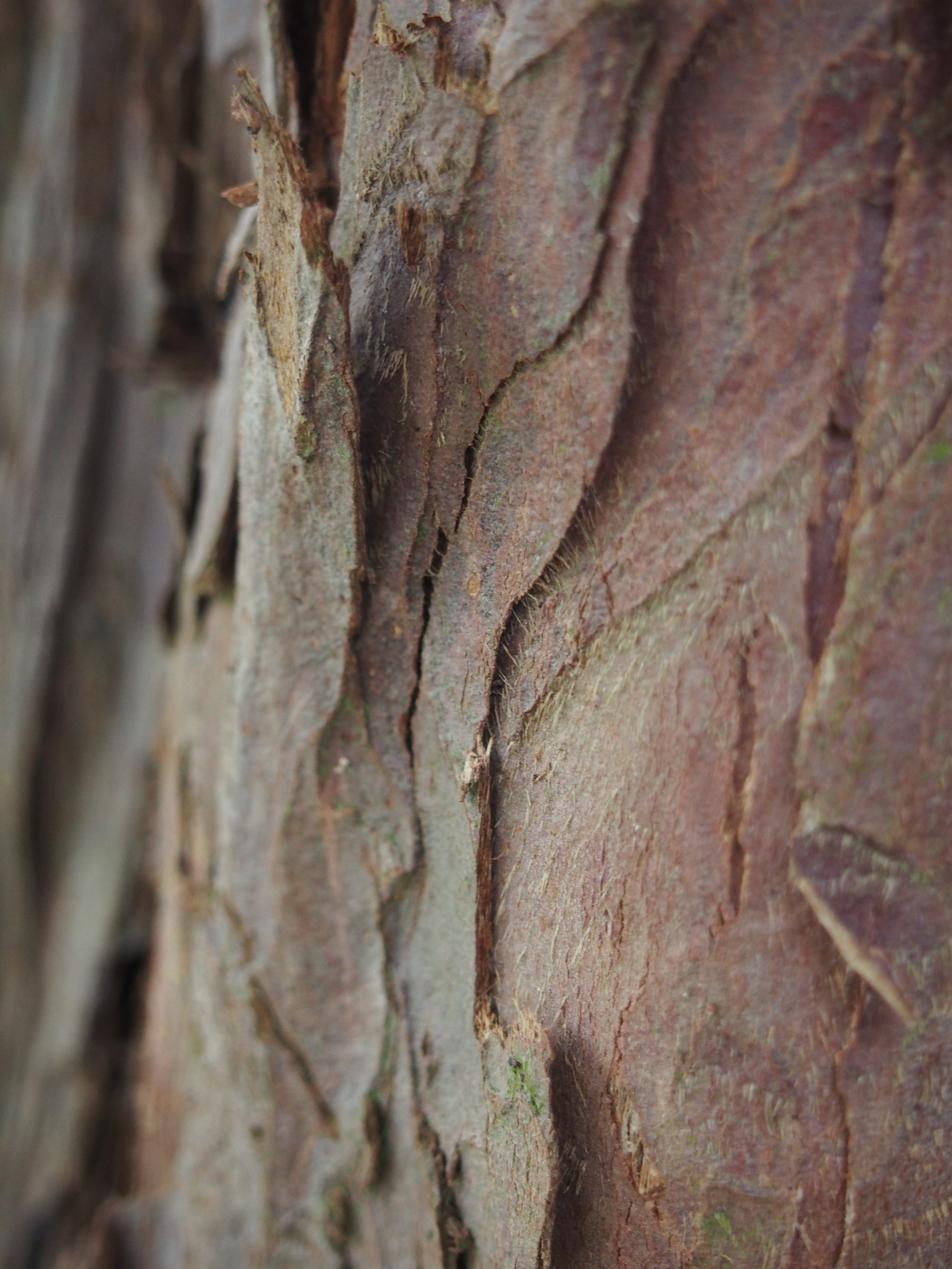 Olympus E-PM2 group test sample 4 | Reviews | What Digital Camera