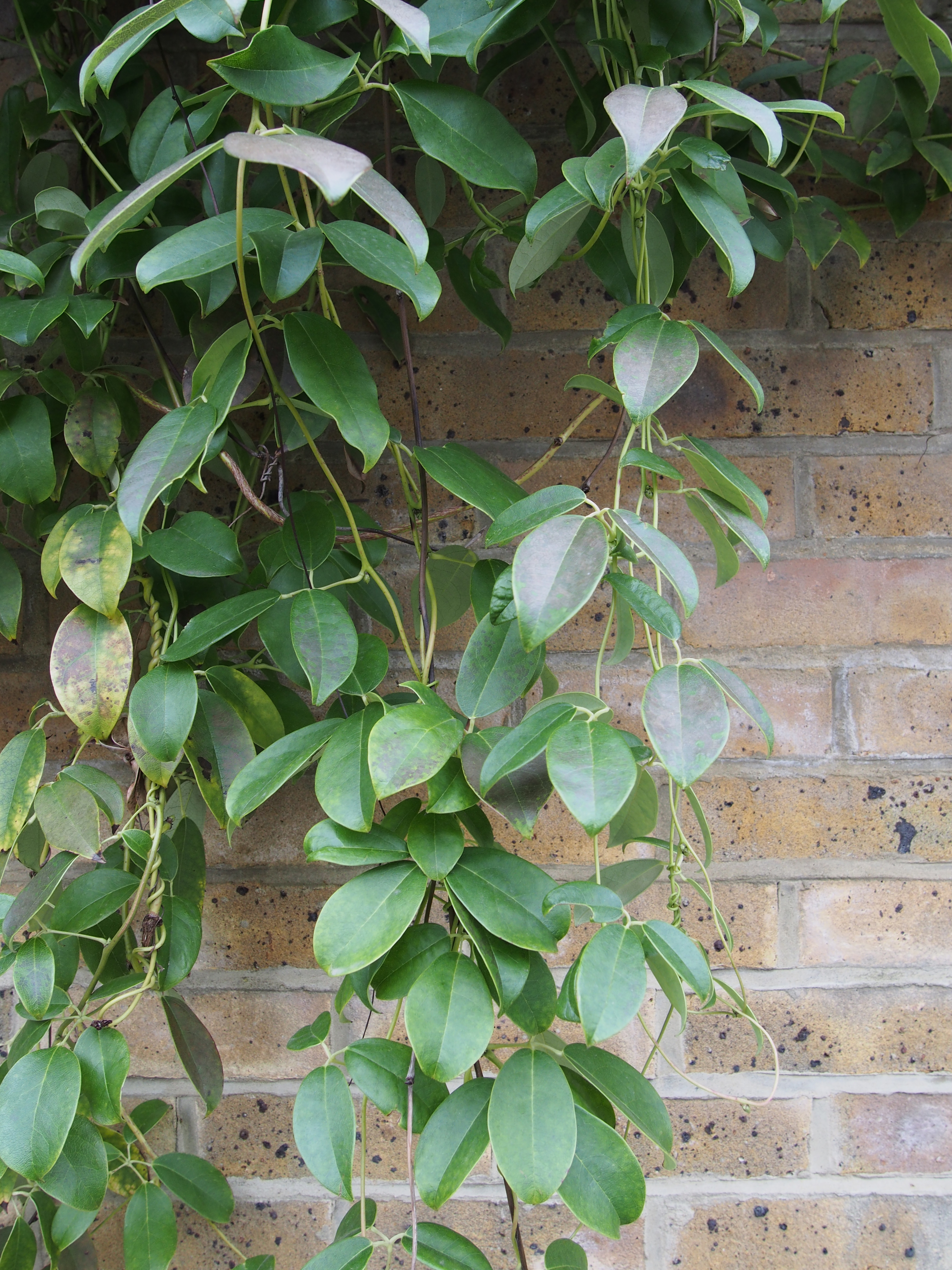 Olympus E-PM2 group test sample 5 | Reviews | What Digital Camera