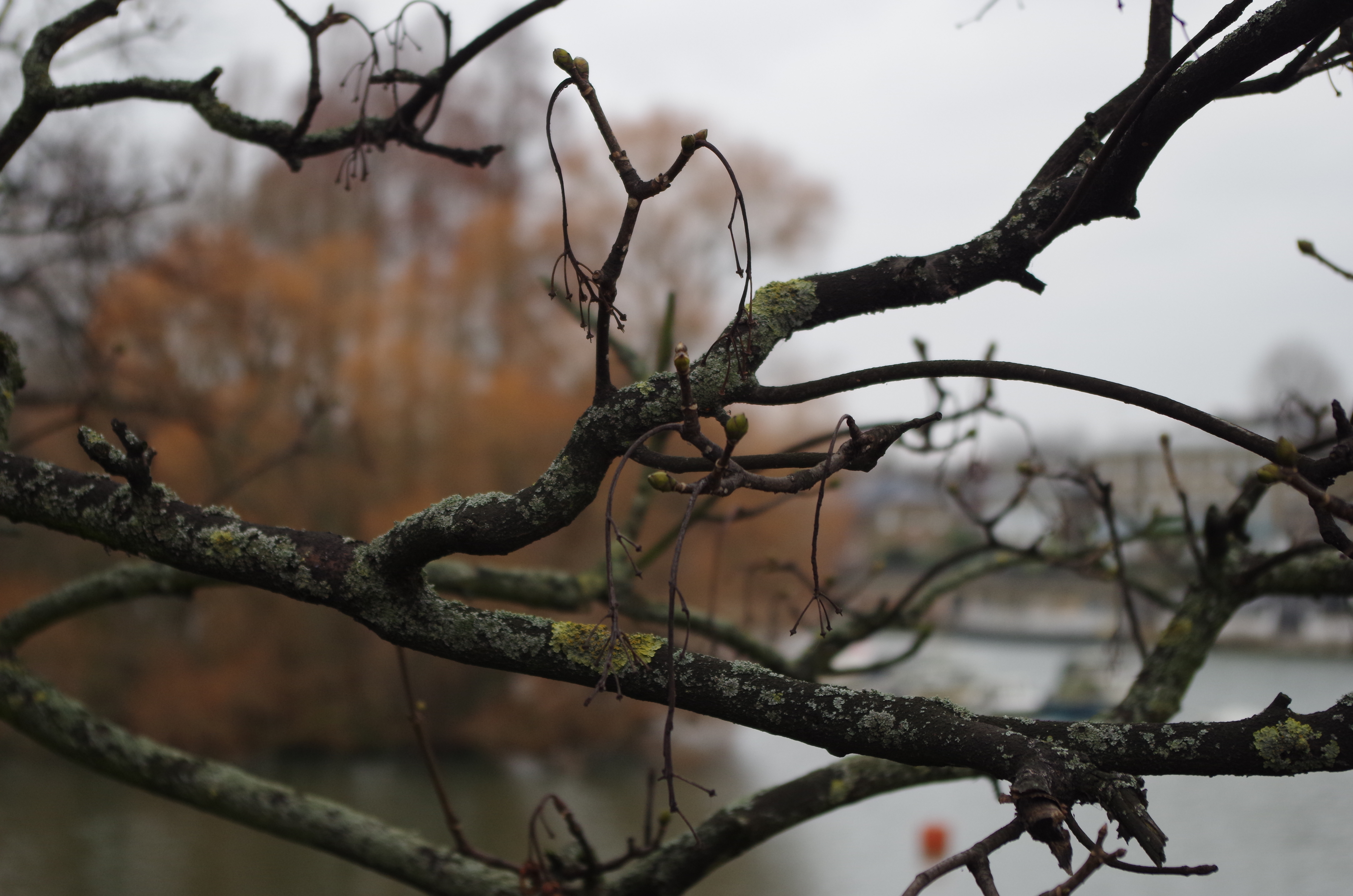 Pentax K30 group test sample 3 | Reviews | What Digital Camera