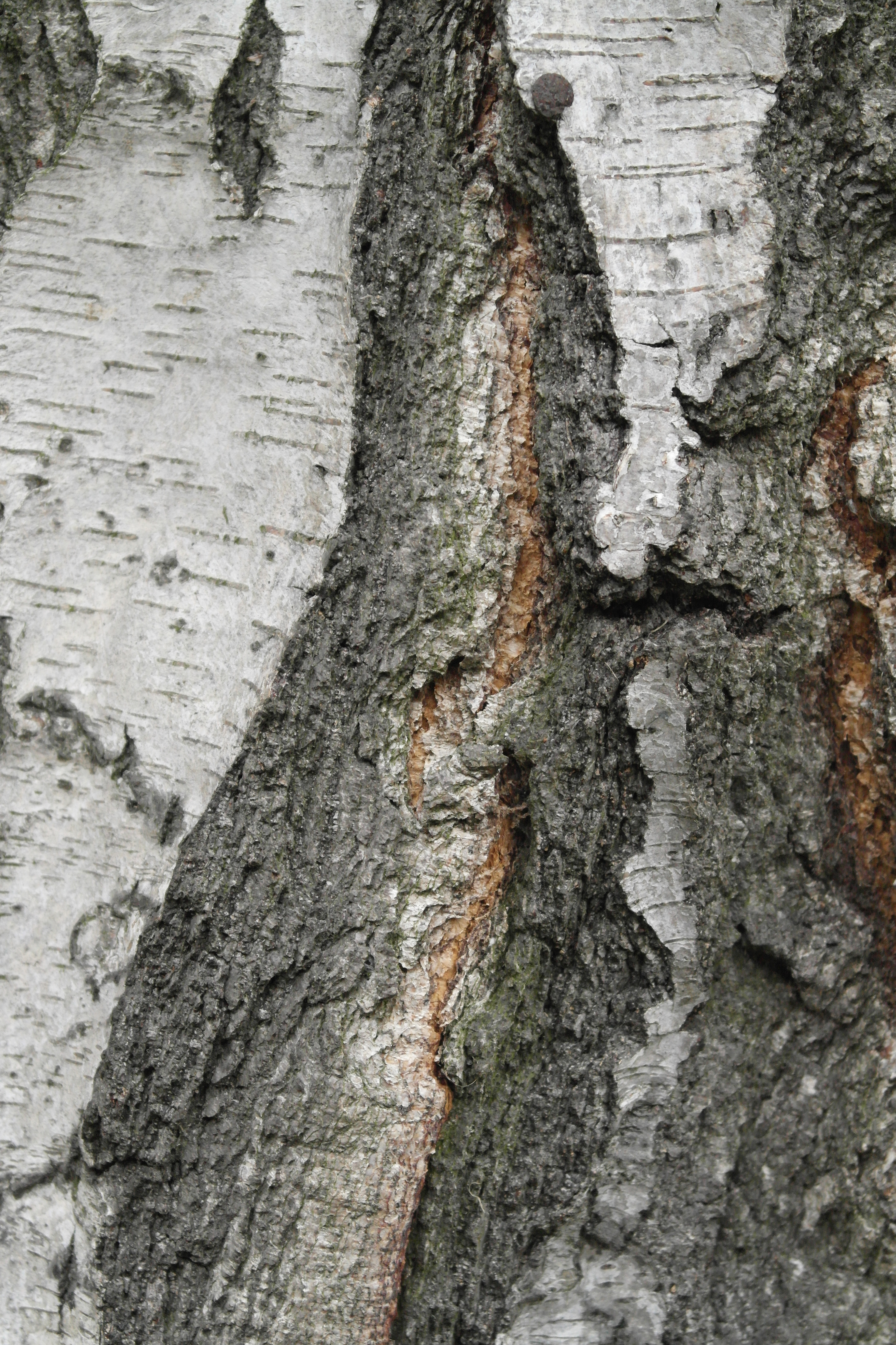 Samsung NX1000 group test sample 3 | Reviews | What Digital Camera