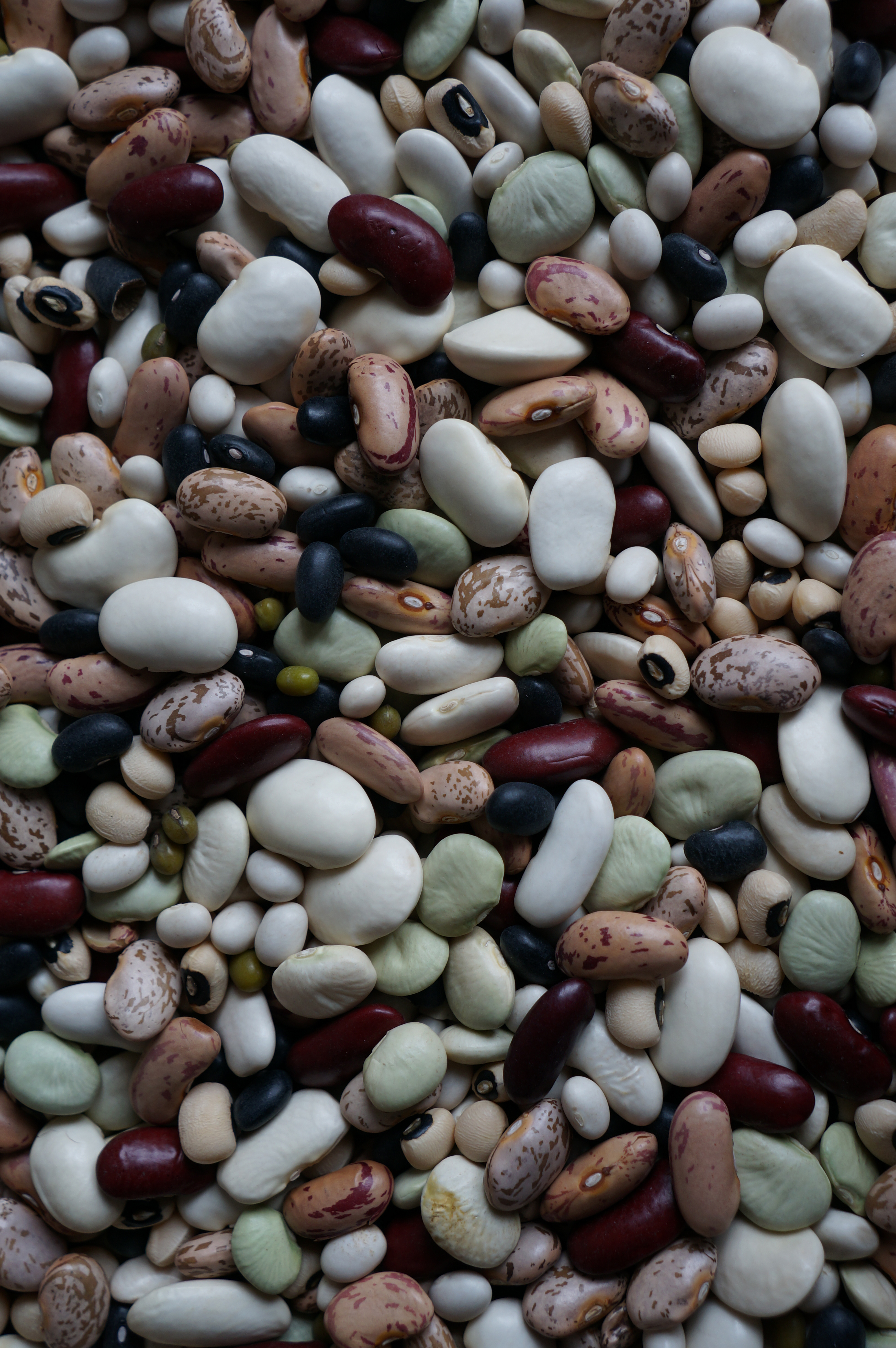 Sony NEX-5R group test sample 6 | Reviews | What Digital Camera