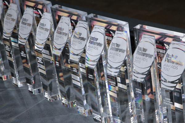 AP Awards 2013