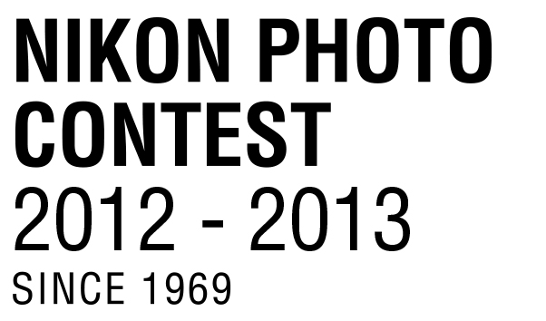Nikon Photo Contest