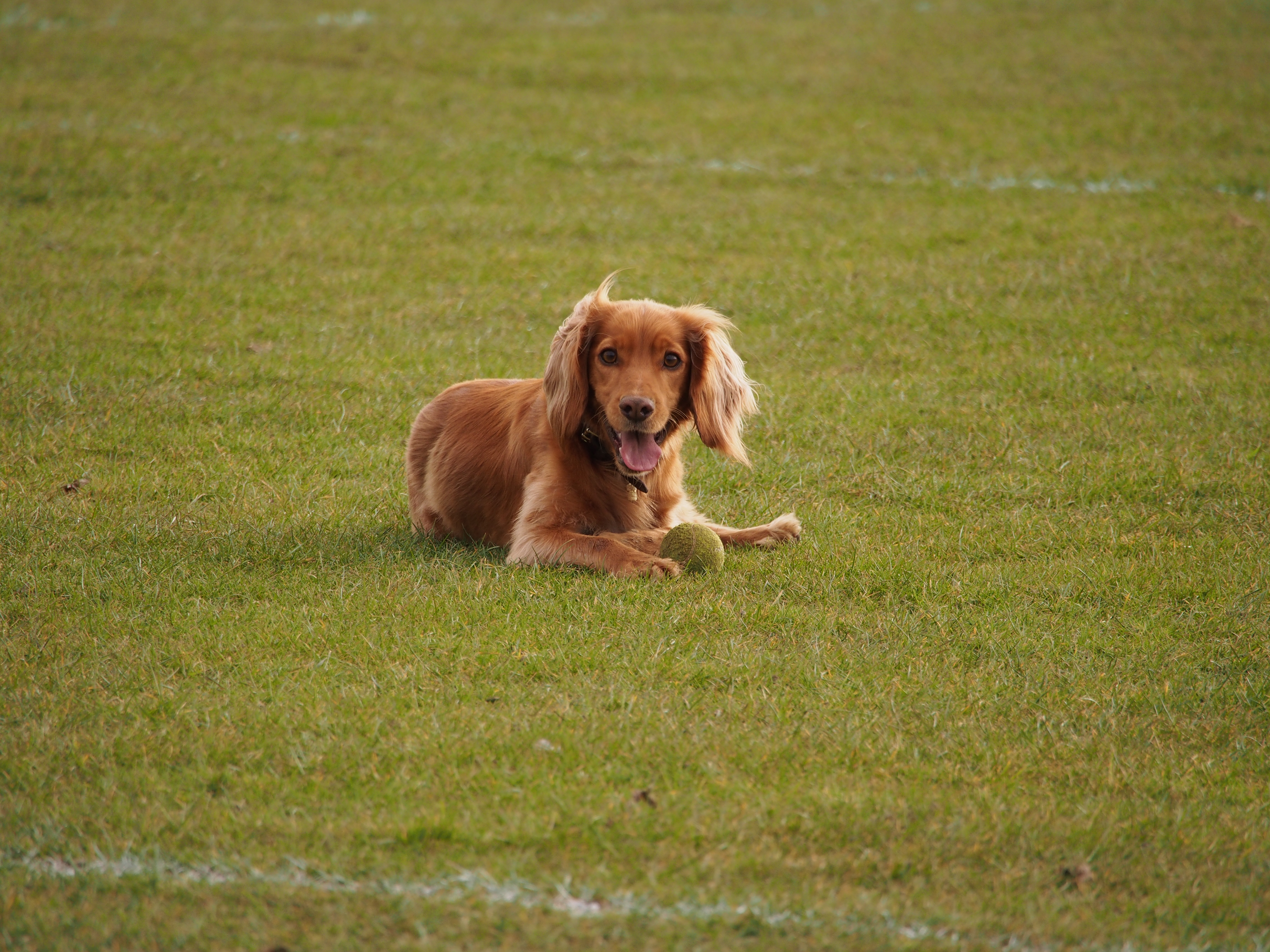 OLYMPUS M.75-300mm F4.8-6.7 II