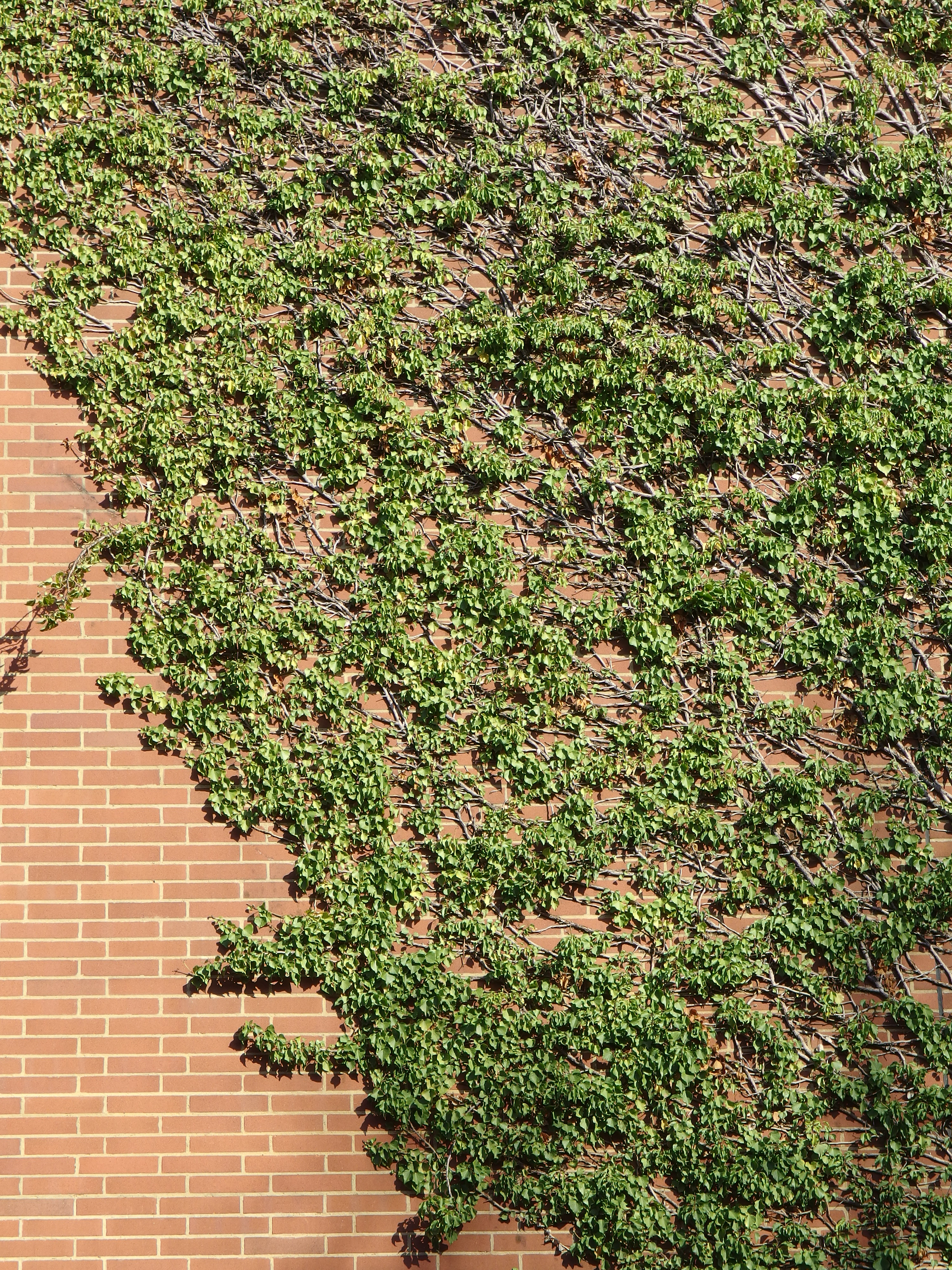 Pentax MX-1 sample image 7