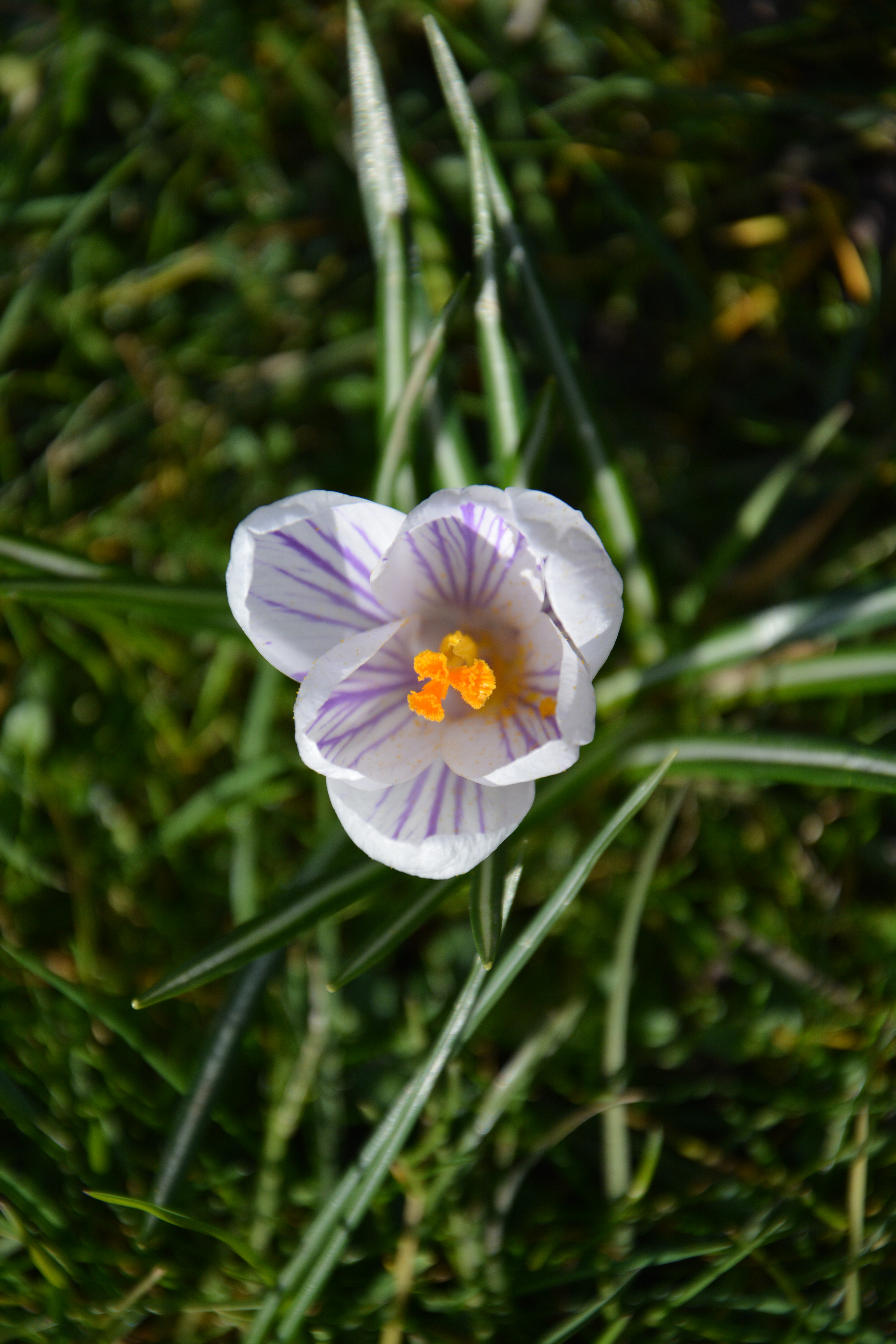 Nikon D7100 sample image 6